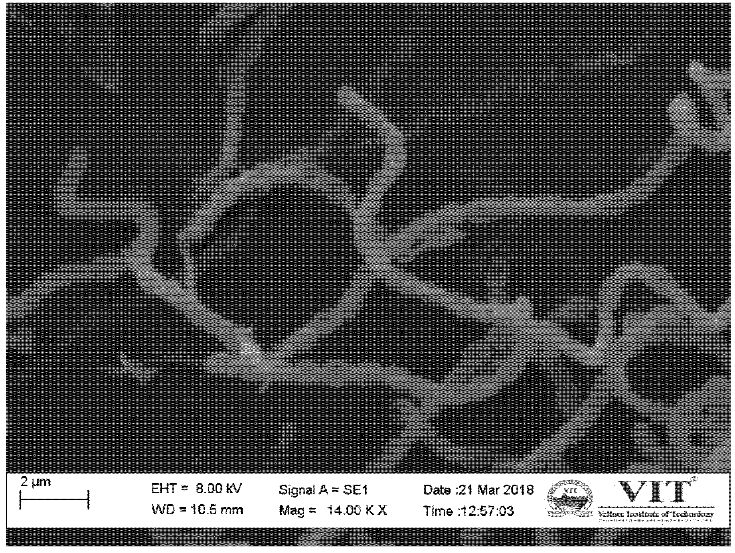 Microorganisms 08 00121 g001