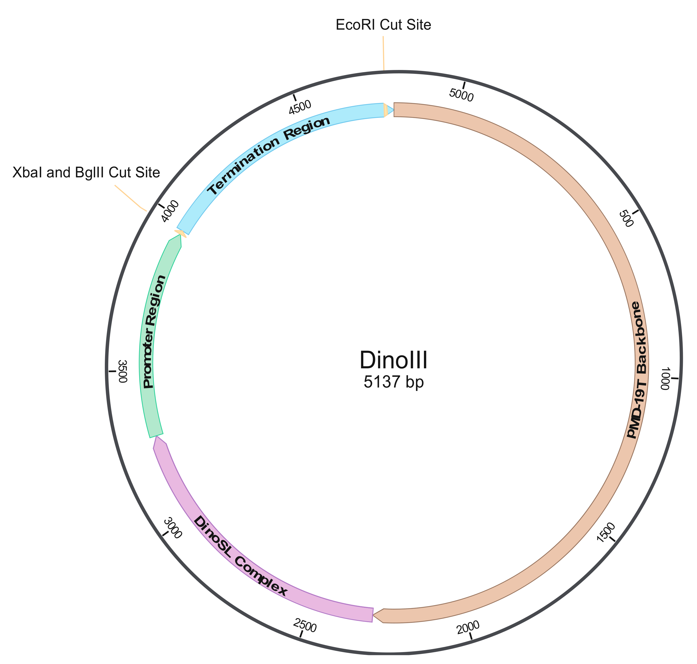 Microorganisms 08 00126 g001