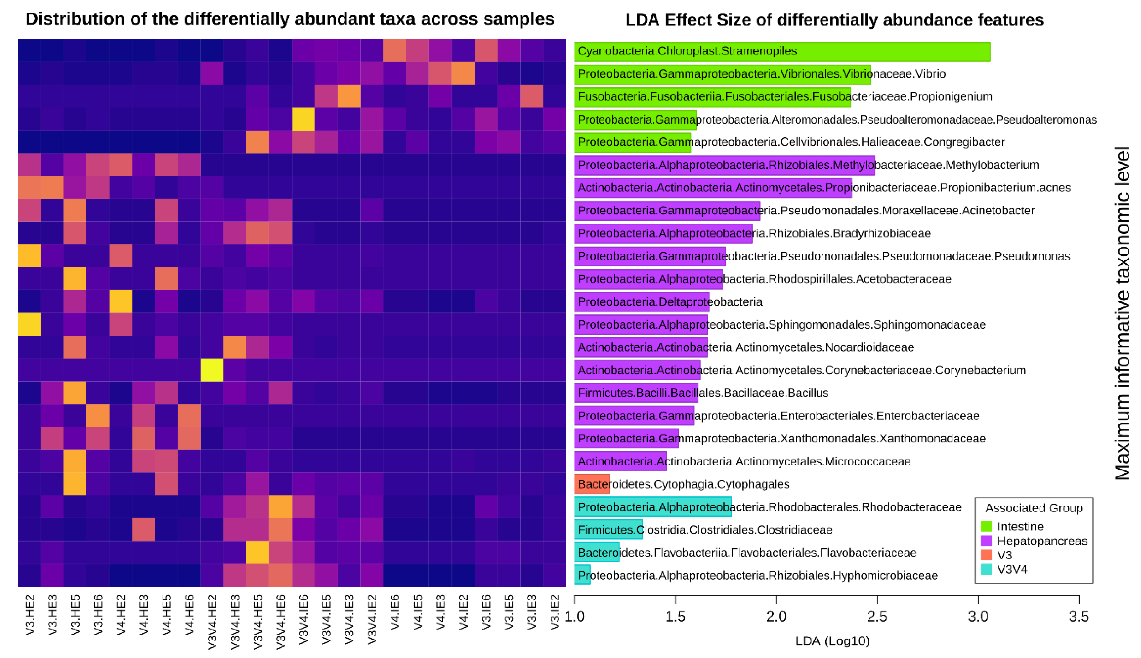 Microorganisms 08 00134 g011 Microorganisms 08 00134 g011