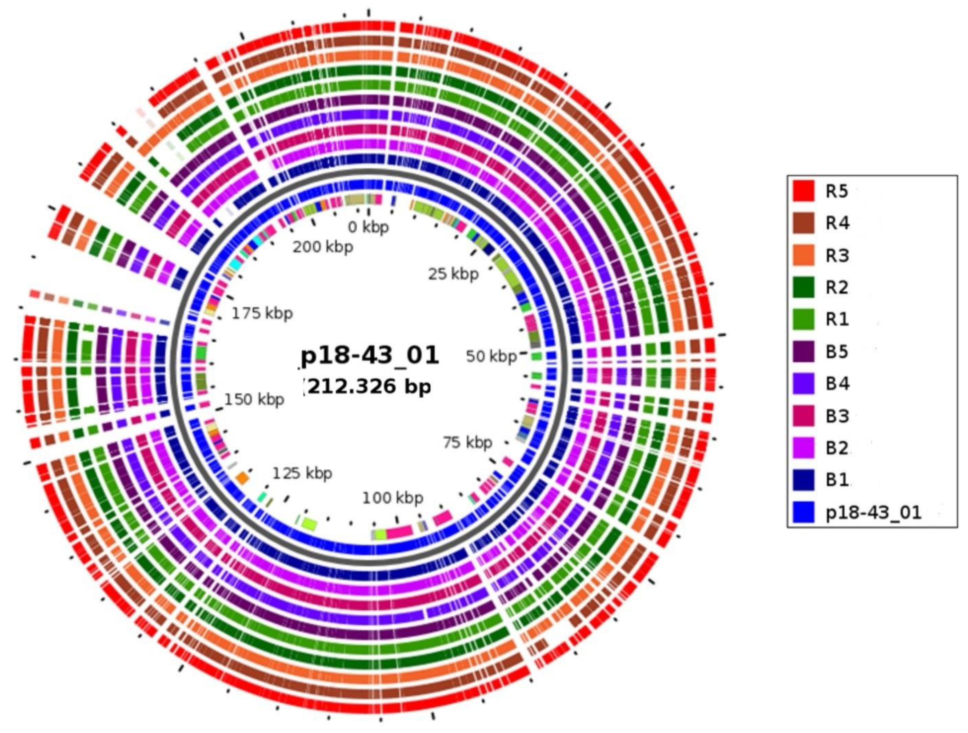 Microorganisms 08 00137 g001