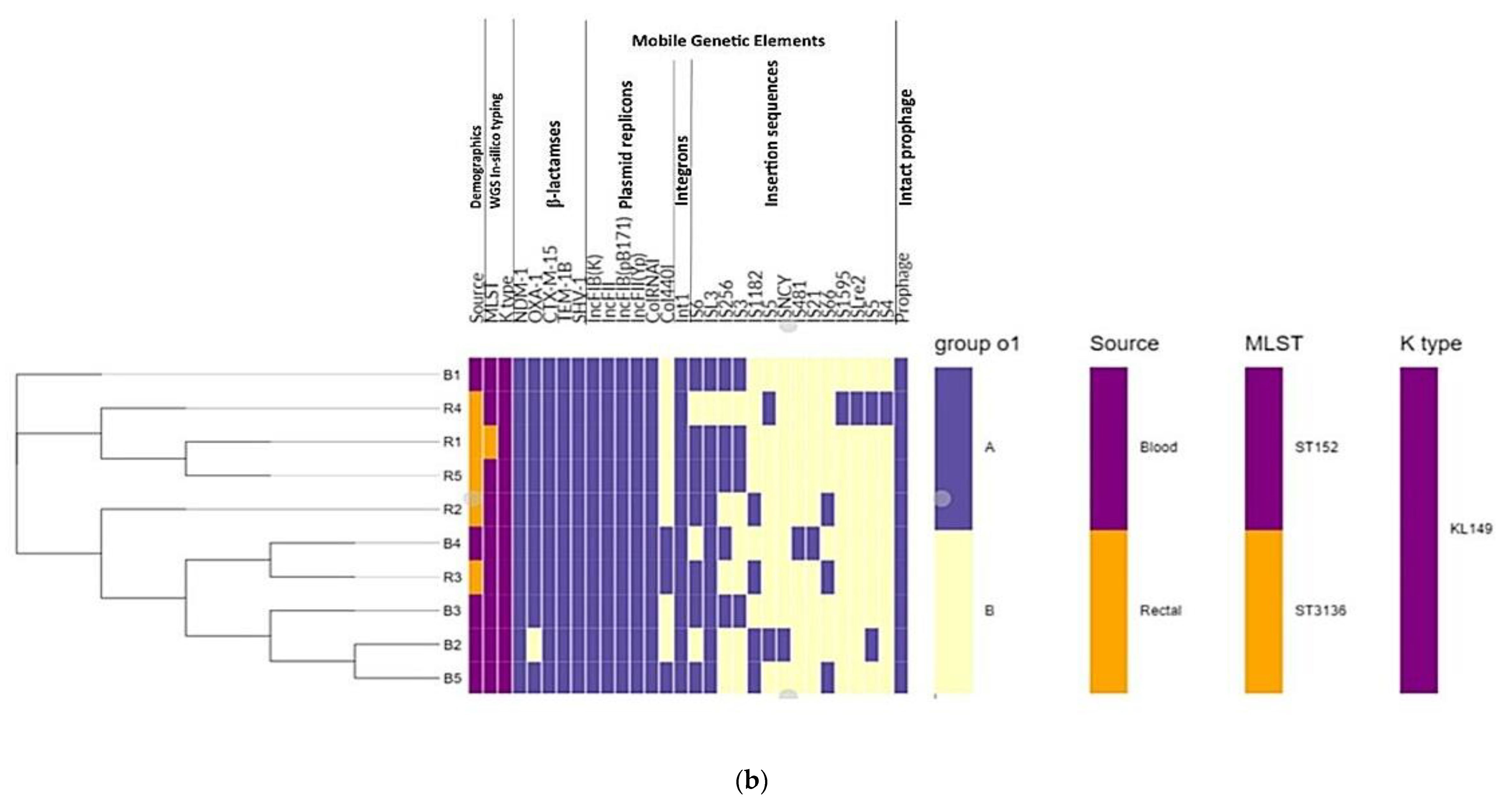 Microorganisms 08 00137 g002b