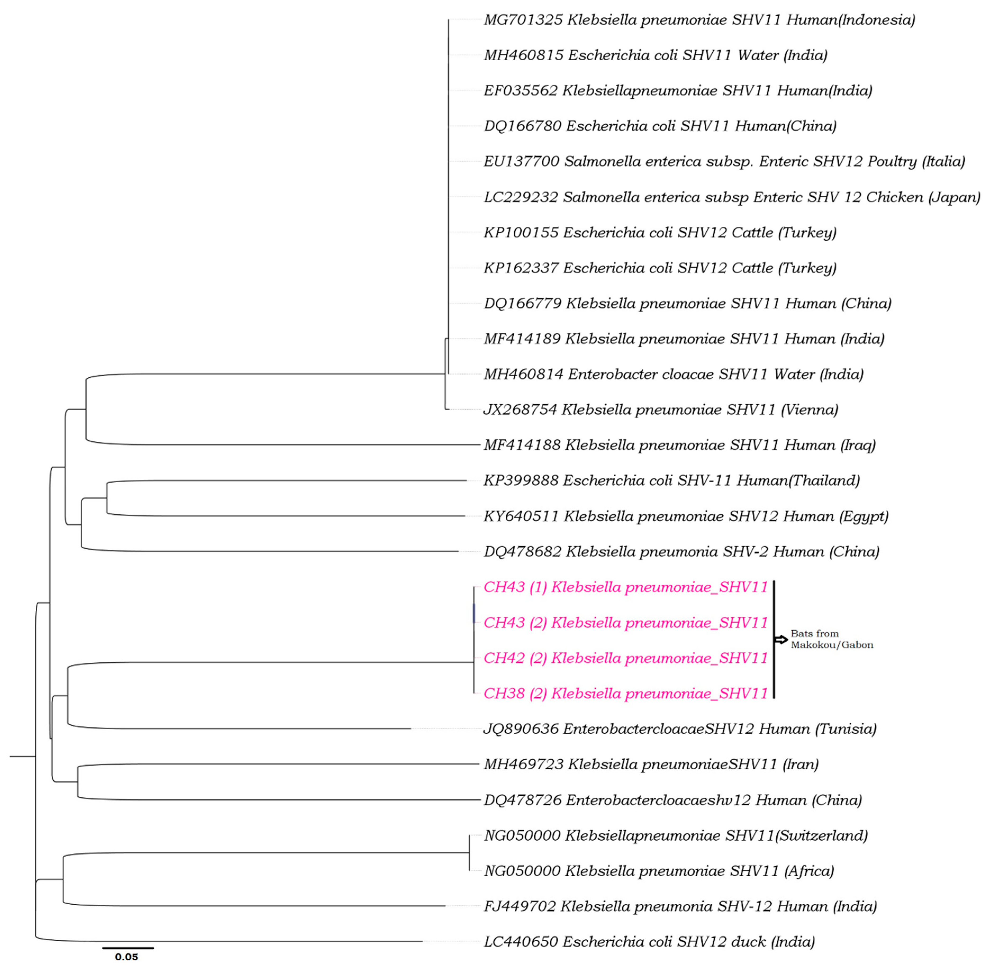 Microorganisms 08 00138 g002