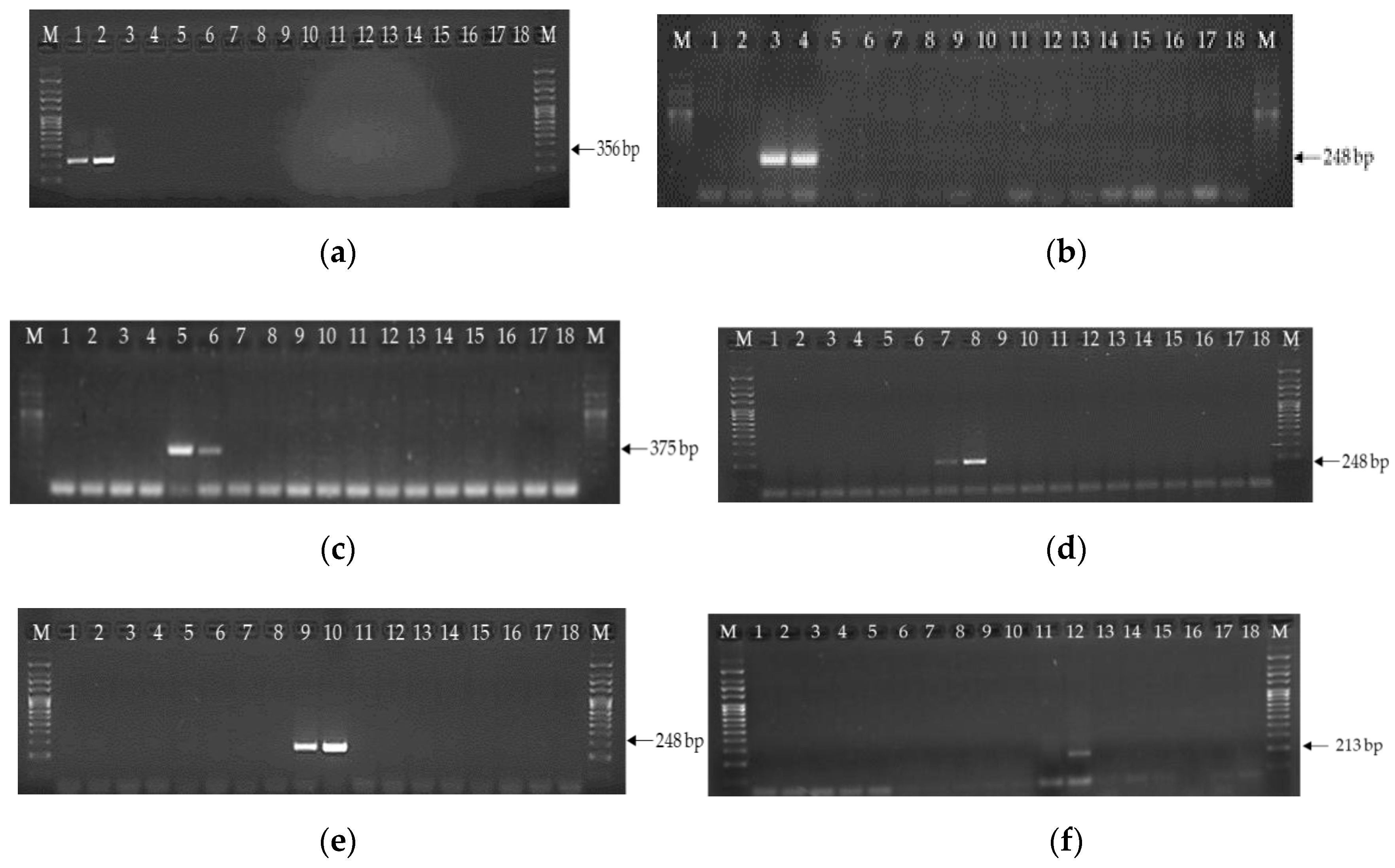 Microorganisms 08 00141 g001 Microorganisms 08 00141 g001