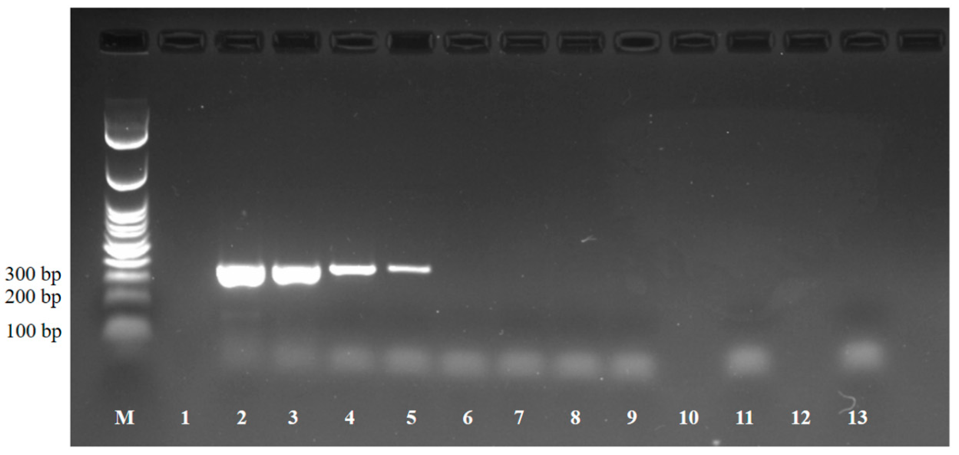 Microorganisms 08 00143 g002