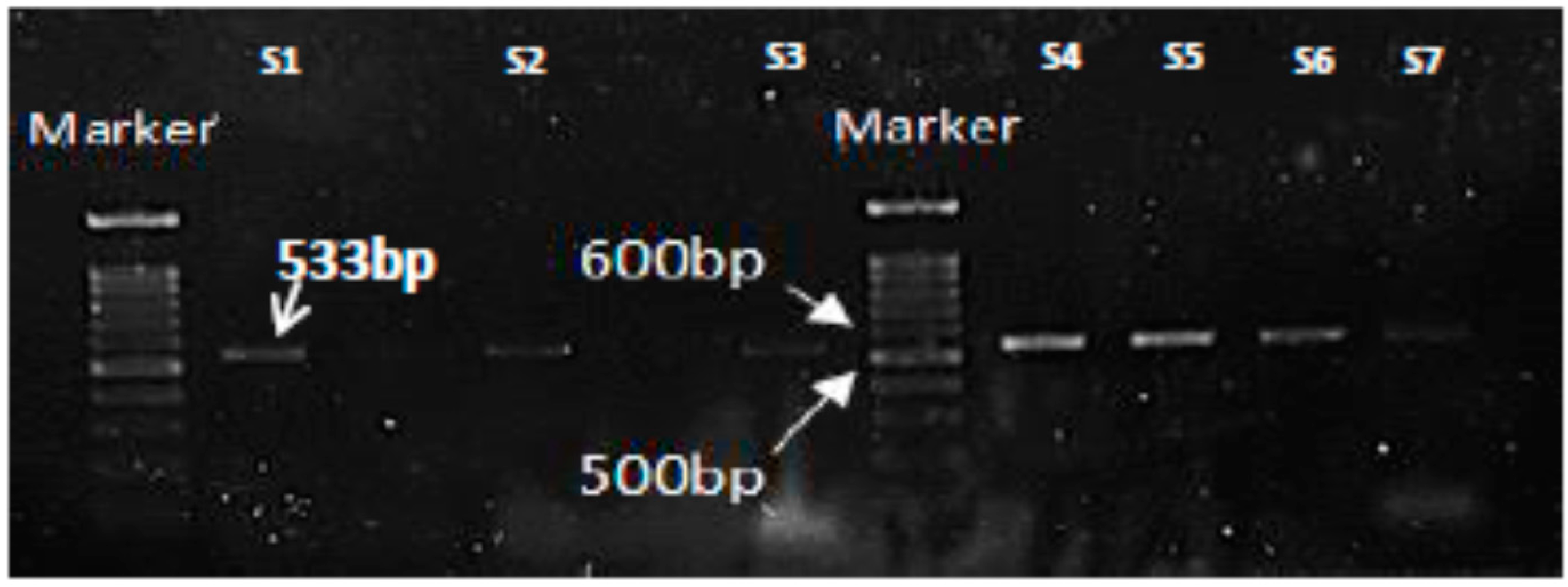 Microorganisms 08 00147 g002 Microorganisms 08 00147 g002