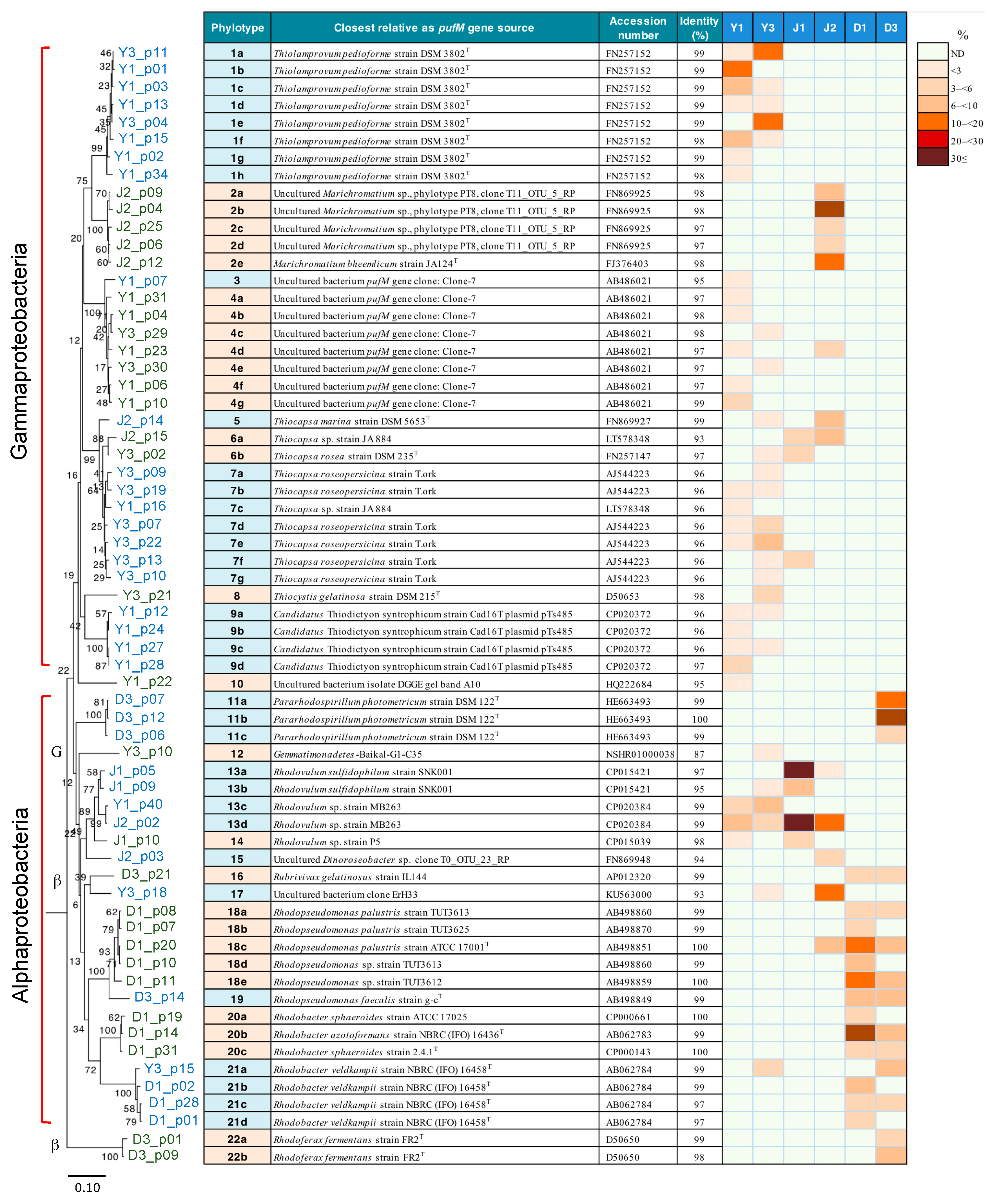 Microorganisms 08 00150 g005