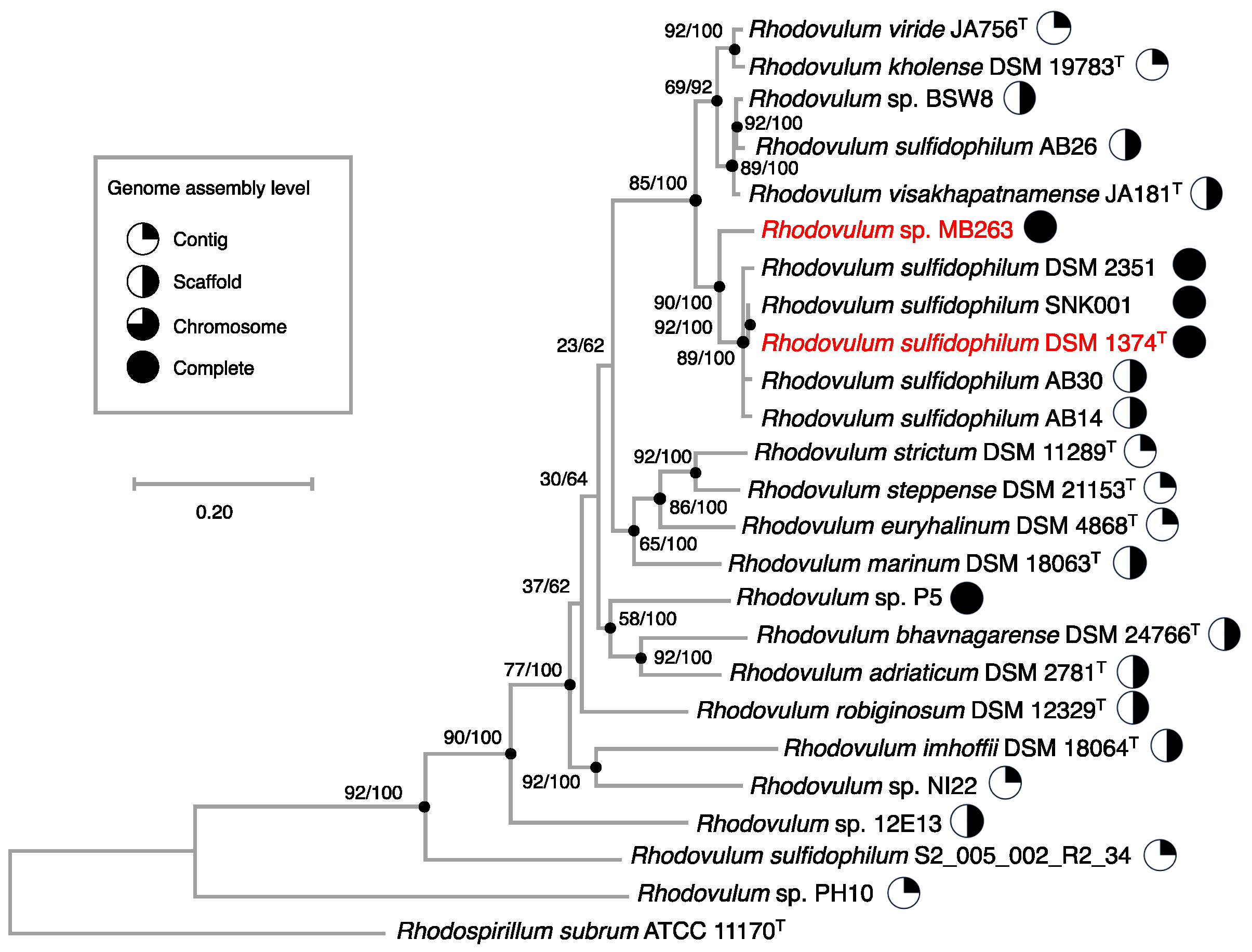 Microorganisms 08 00150 g007