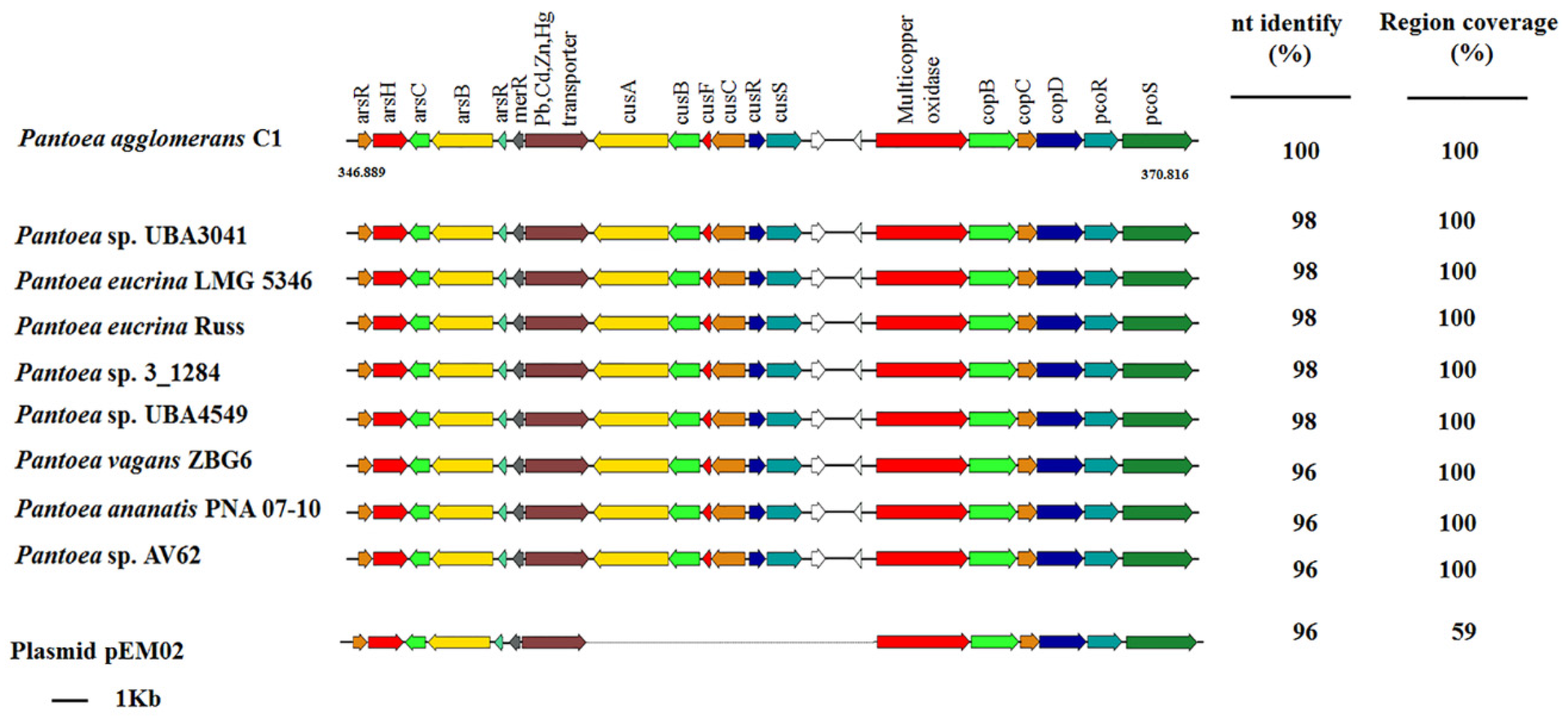 Microorganisms 08 00153 g003