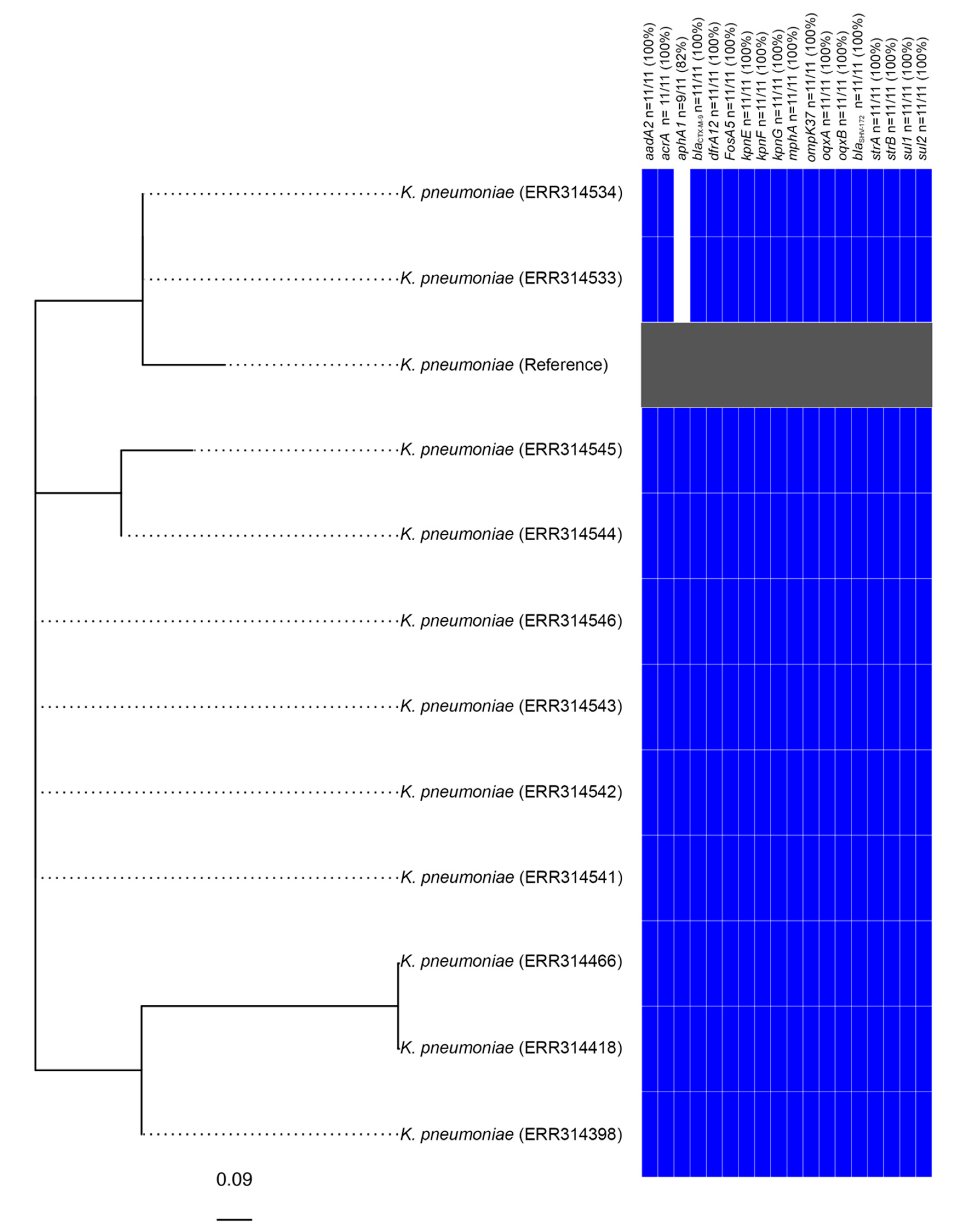 Microorganisms 08 00161 g002