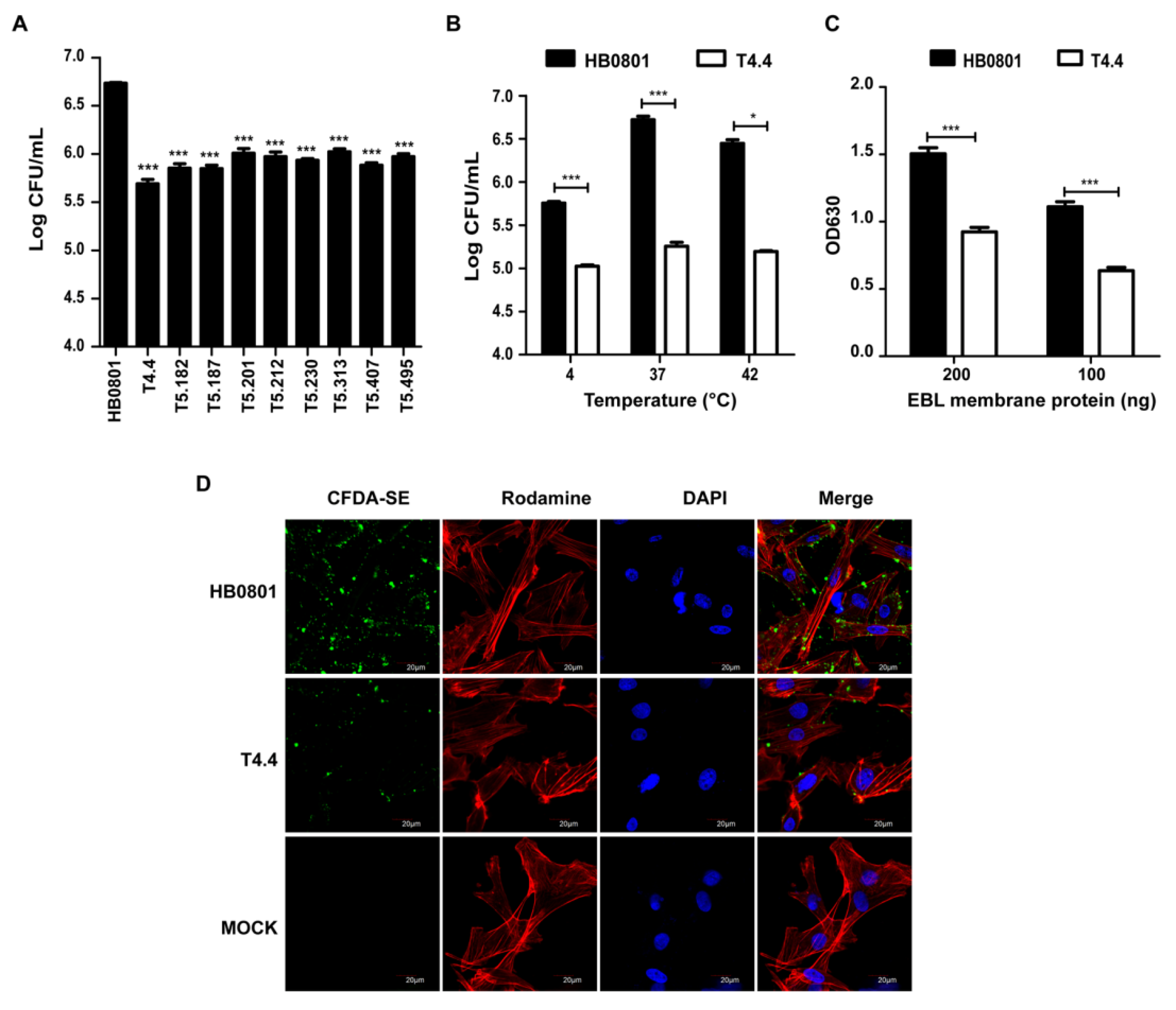 Microorganisms 08 00164 g001