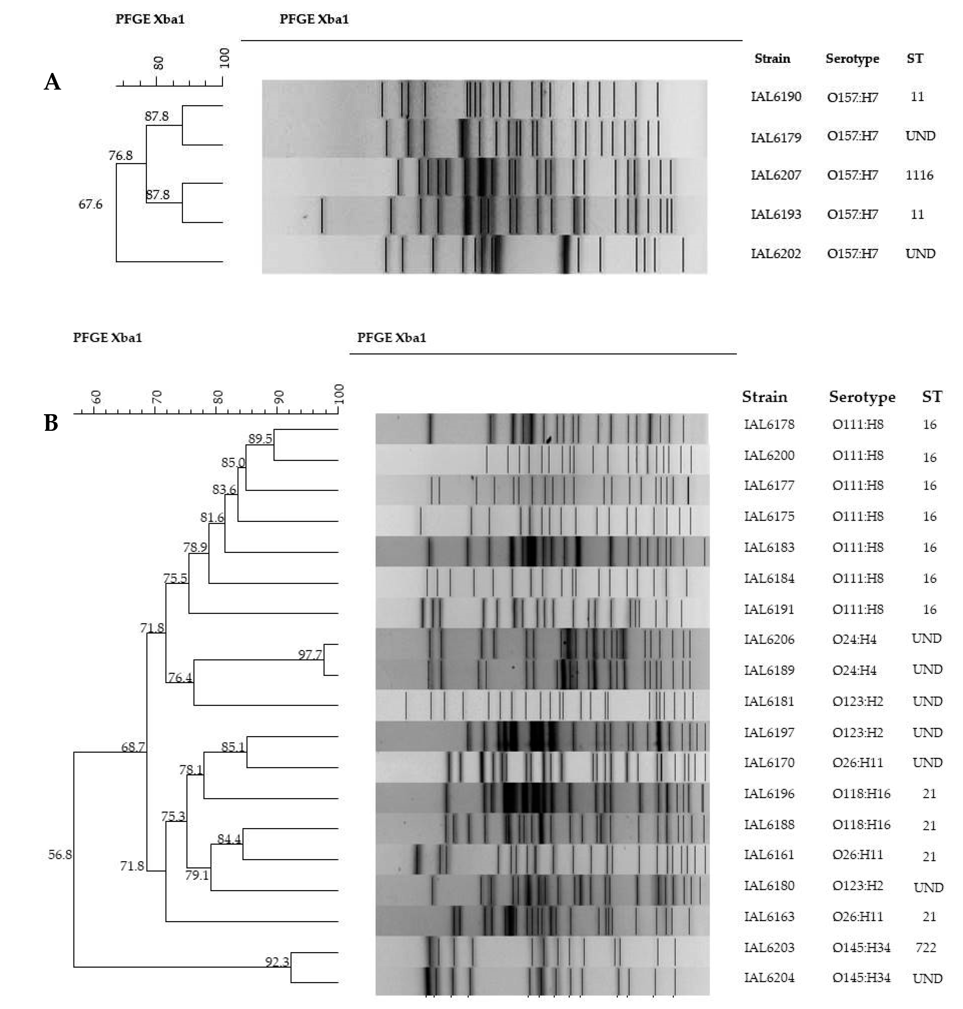 Microorganisms 08 00171 g002 Microorganisms 08 00171 g002
