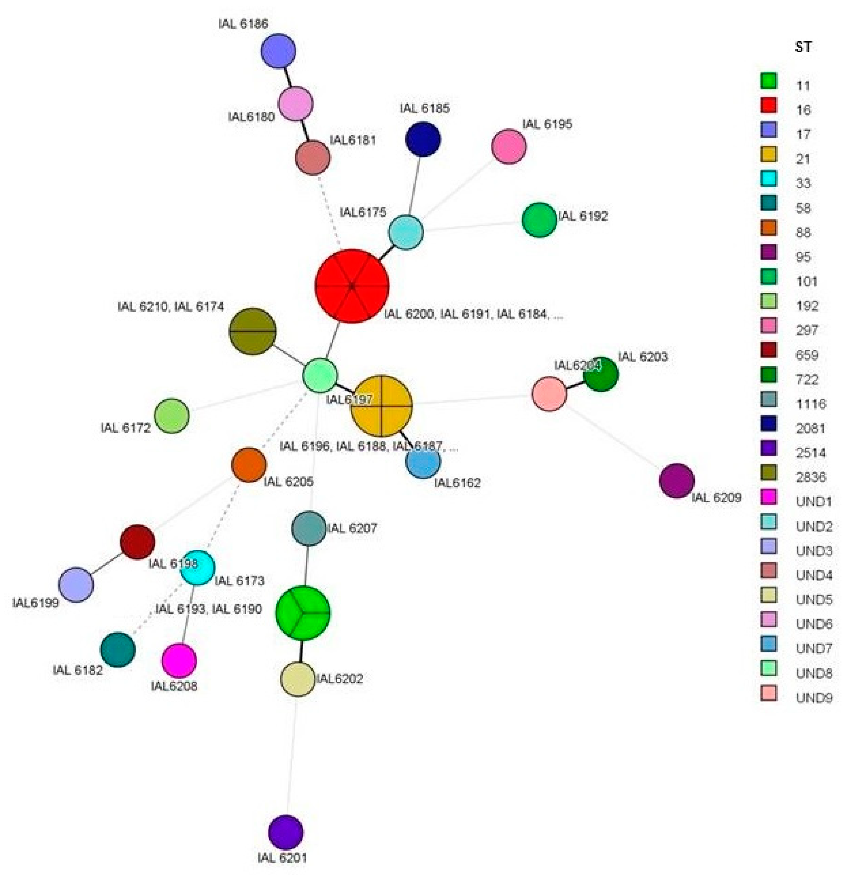 Microorganisms 08 00171 g003 Microorganisms 08 00171 g003