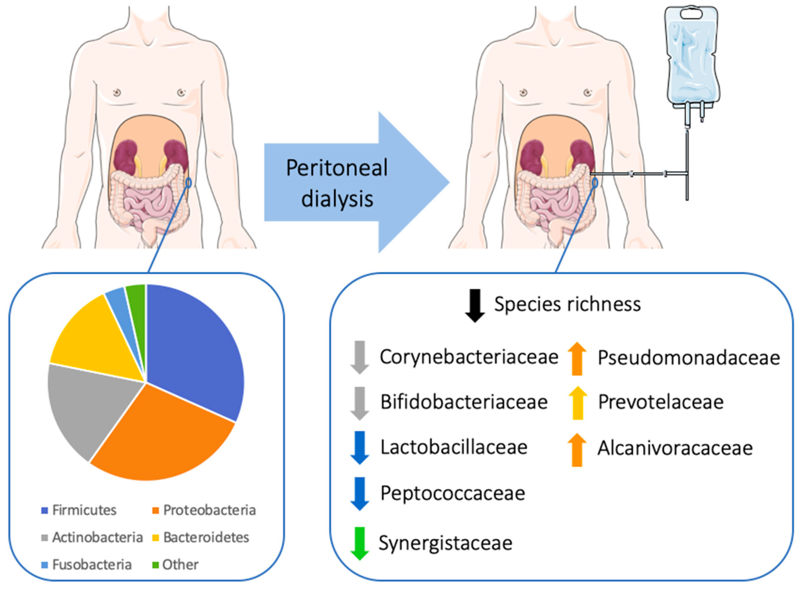 Microorganisms 08 00173 g005