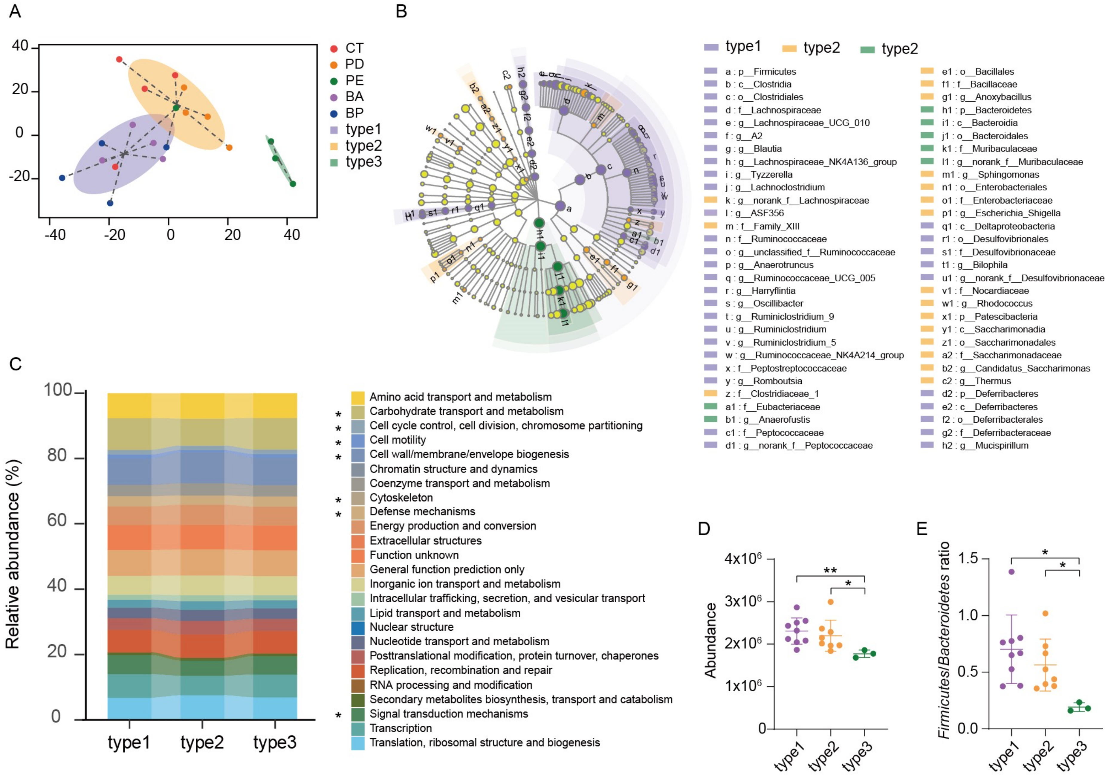 Microorganisms 08 00175 g004 Microorganisms 08 00175 g004