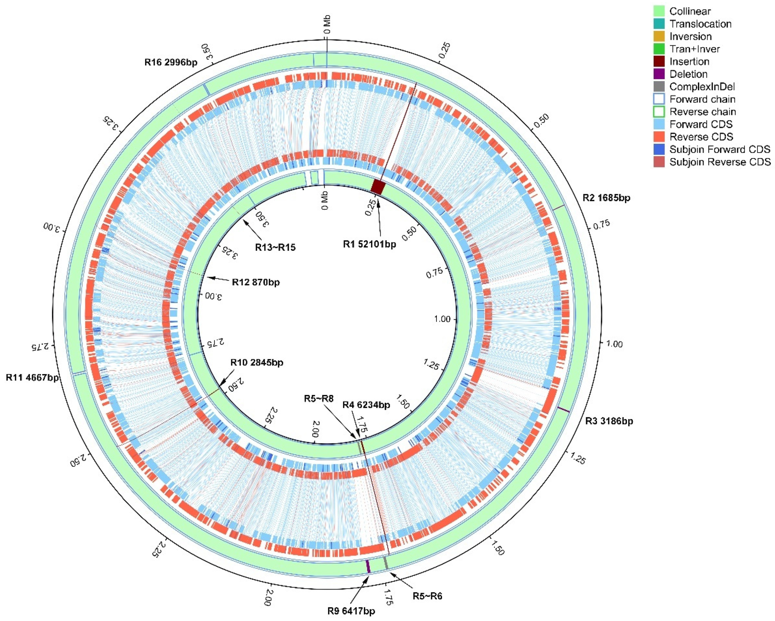 Microorganisms 08 00182 g004 Microorganisms 08 00182 g004