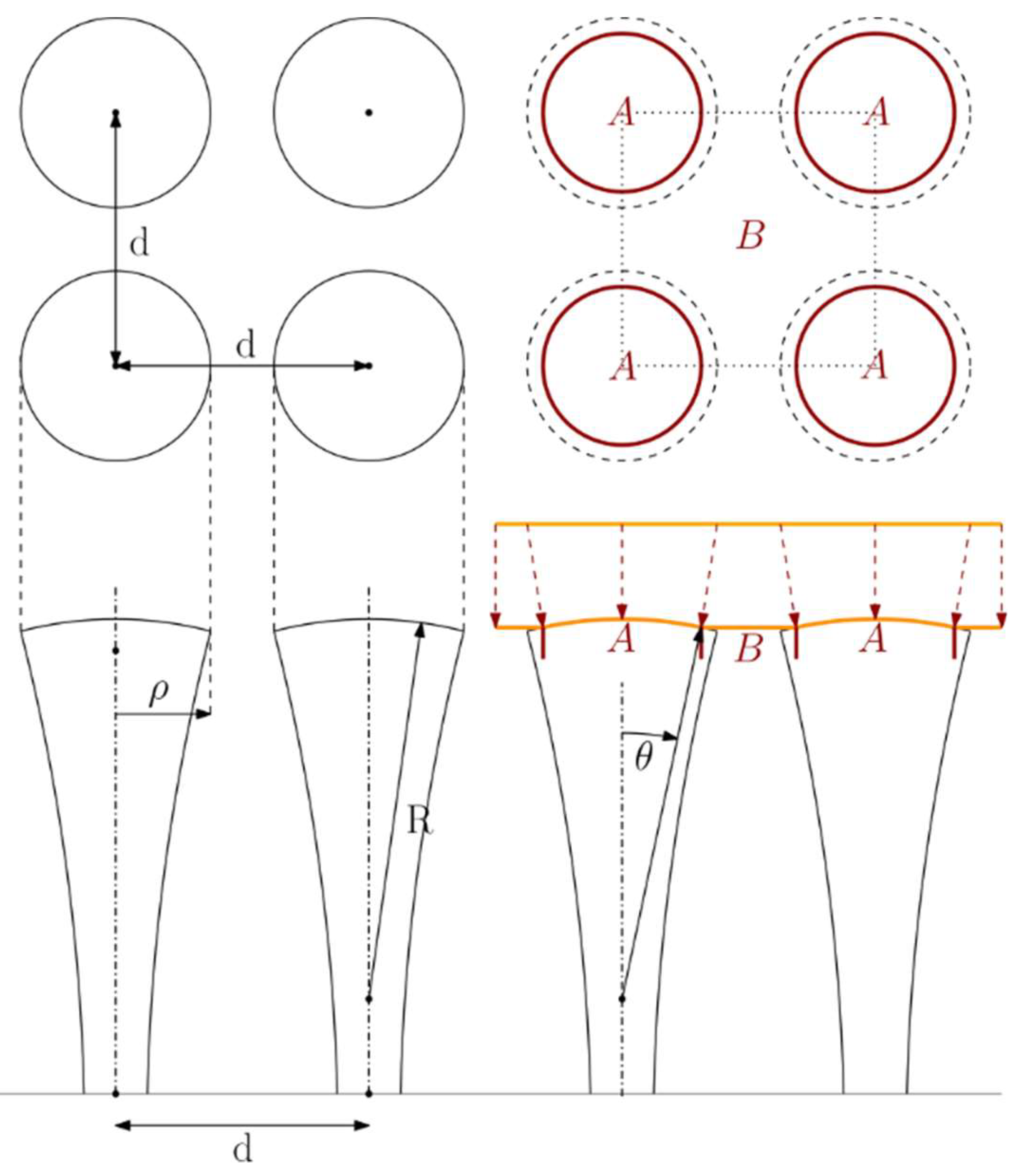 Microorganisms 08 00186 g003