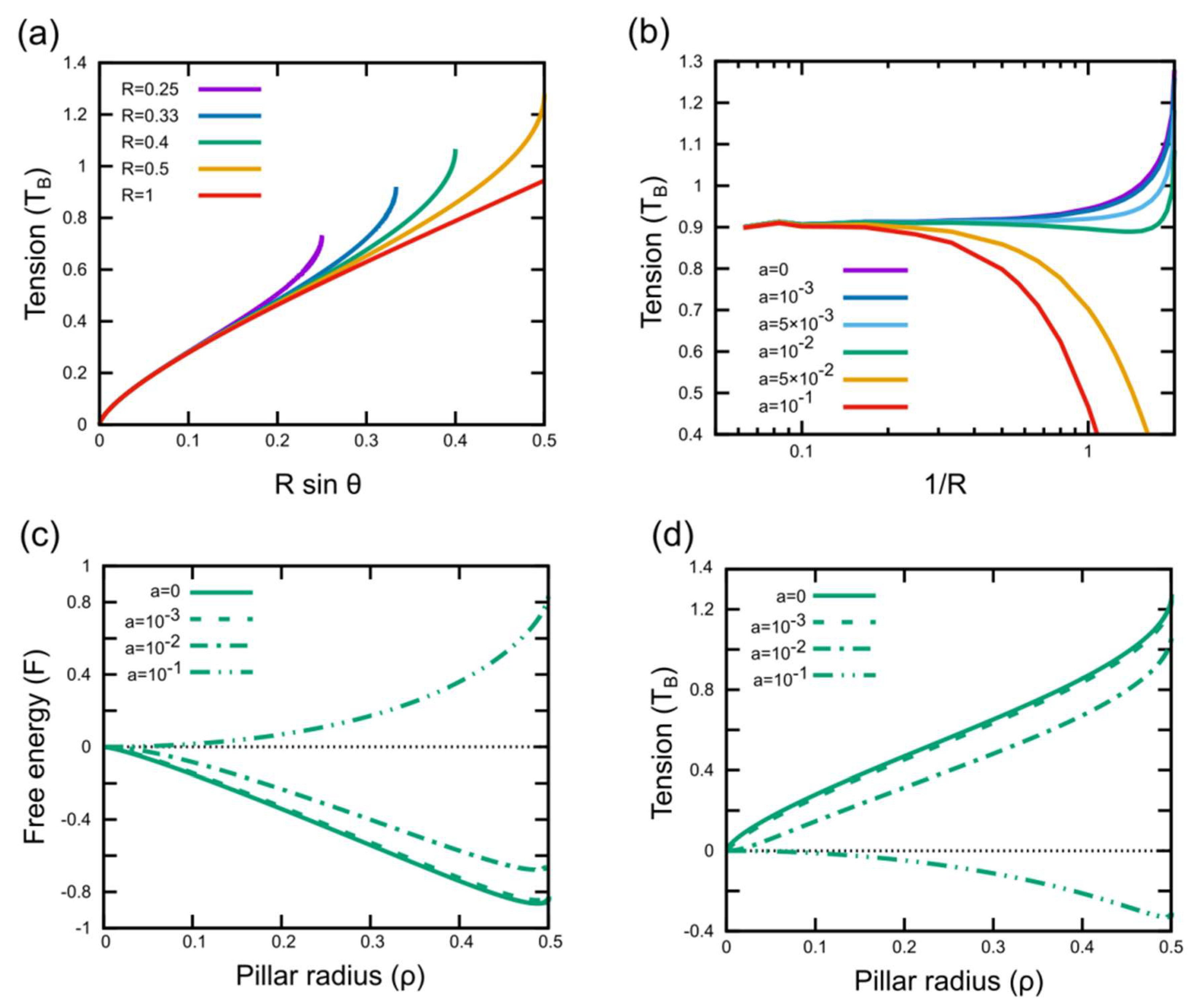 Microorganisms 08 00186 g004