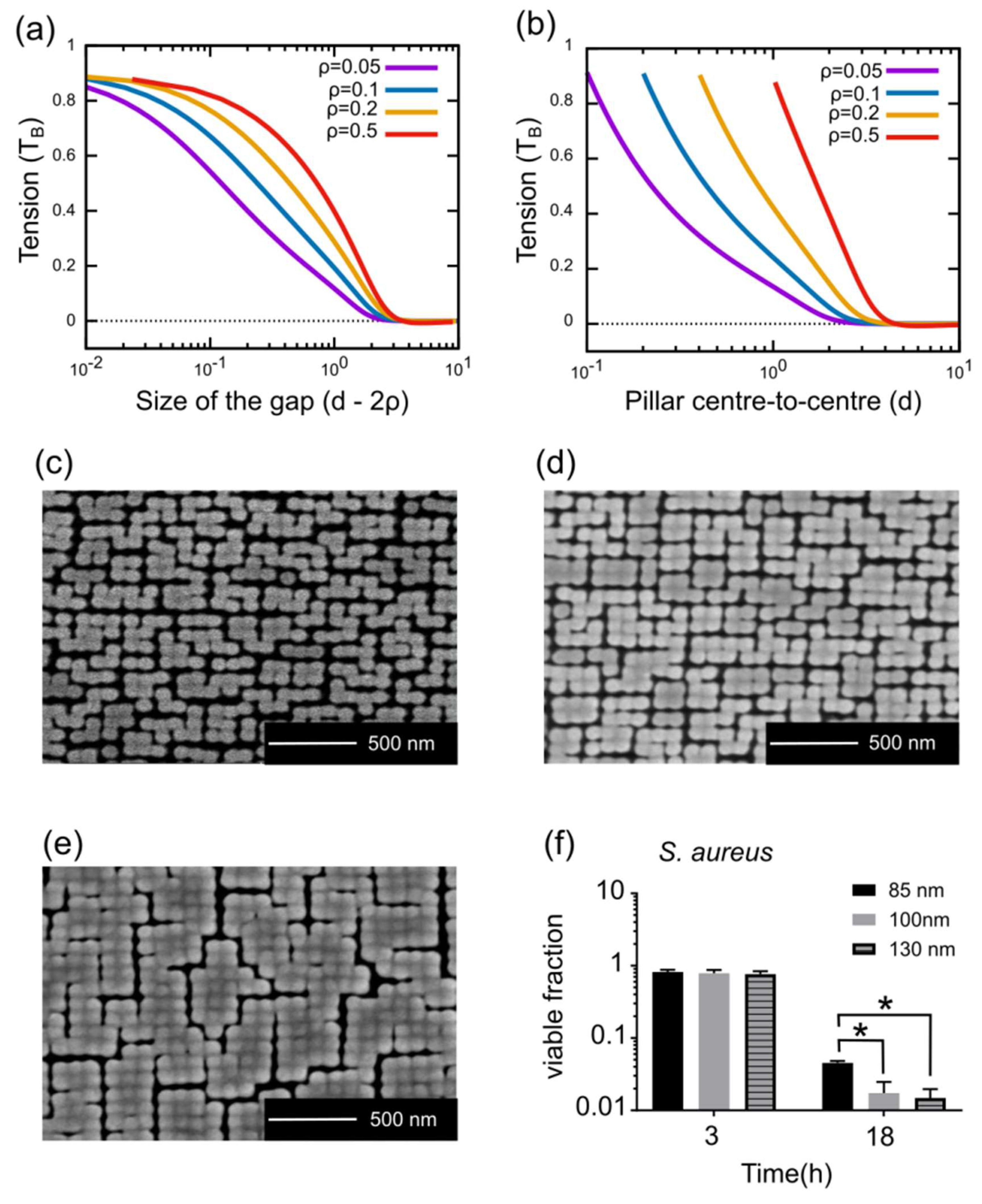 Microorganisms 08 00186 g006
