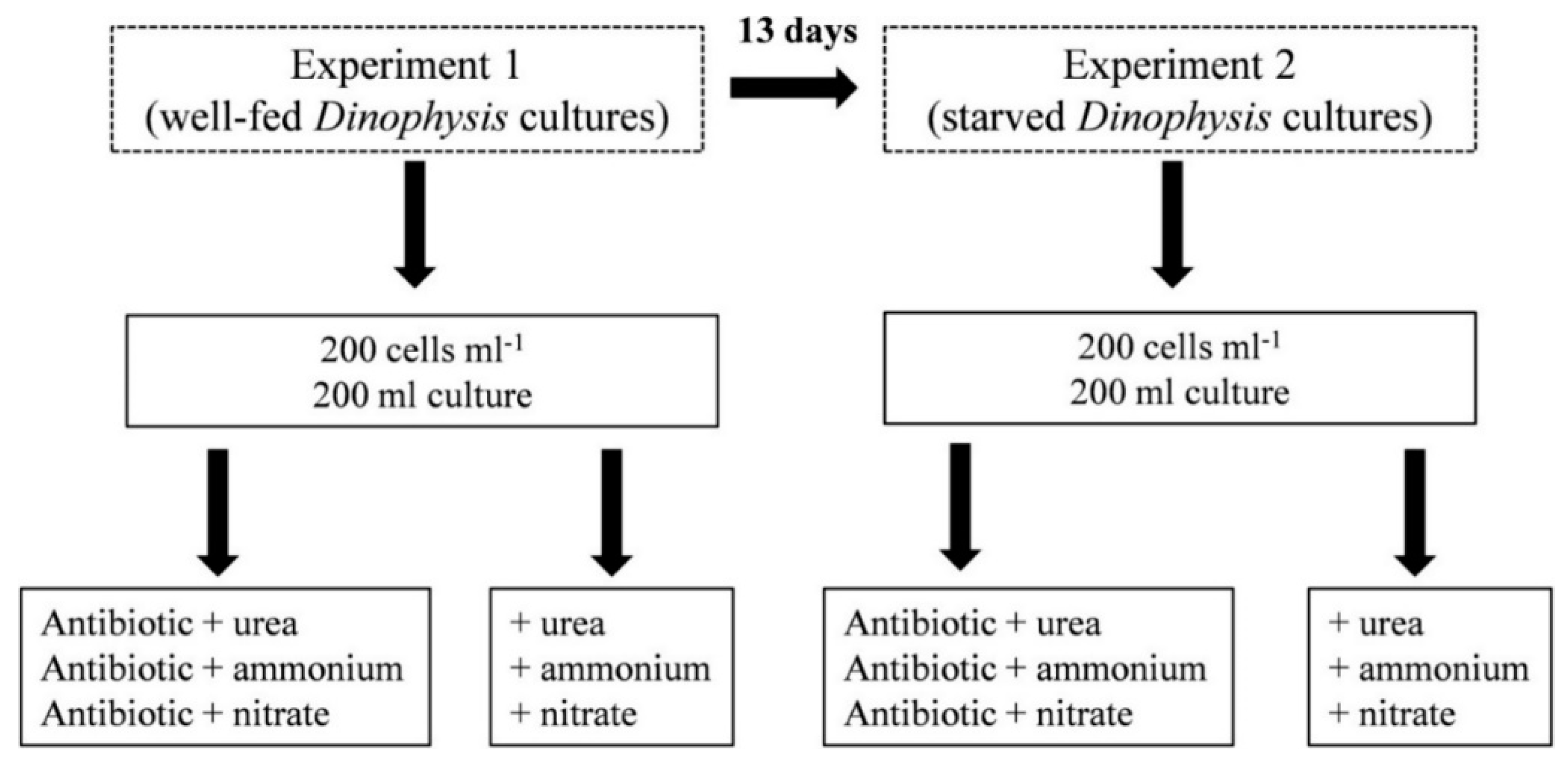 Microorganisms 08 00187 g001 Microorganisms 08 00187 g001