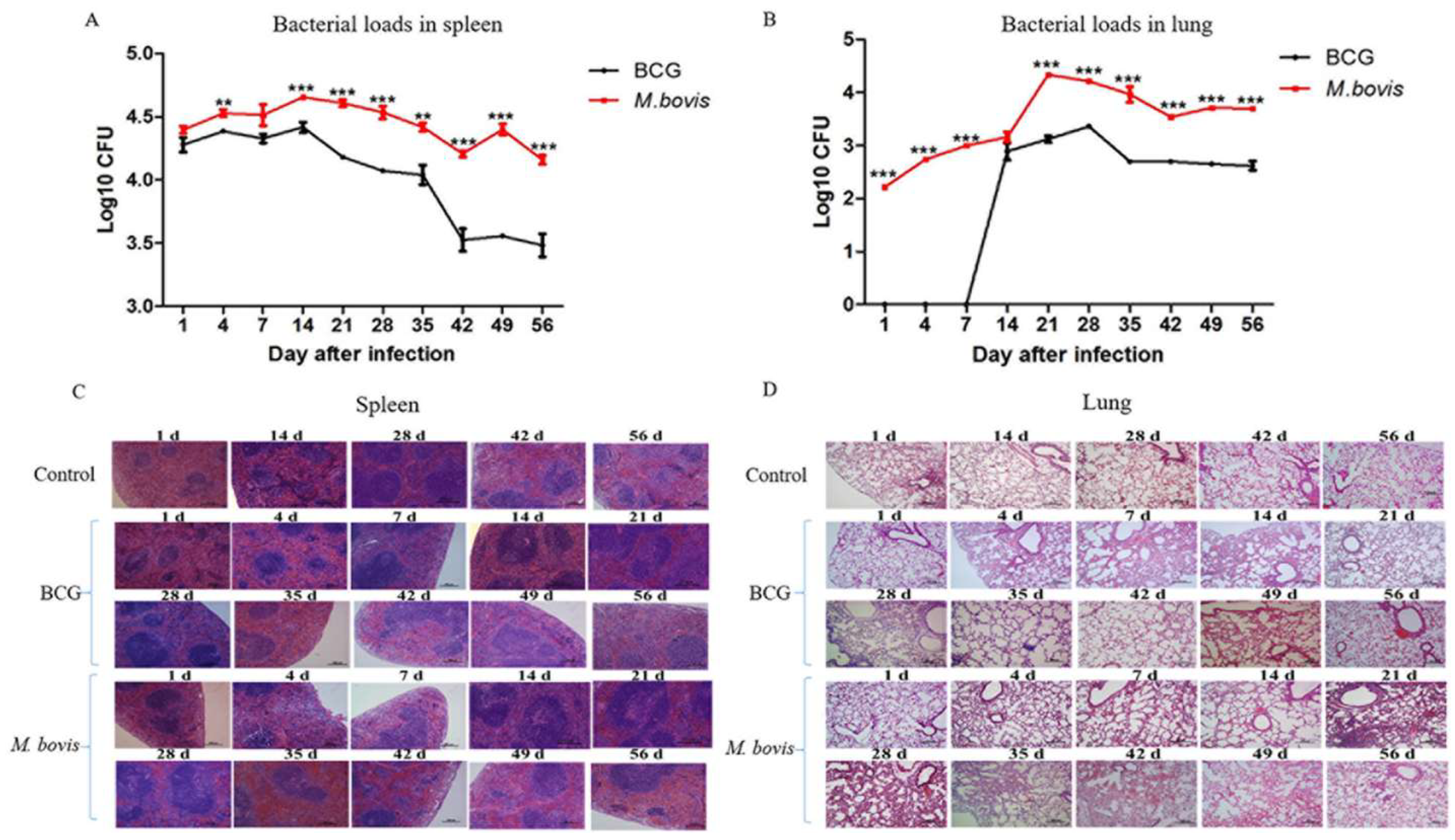 Microorganisms 08 00195 g006 Microorganisms 08 00195 g006