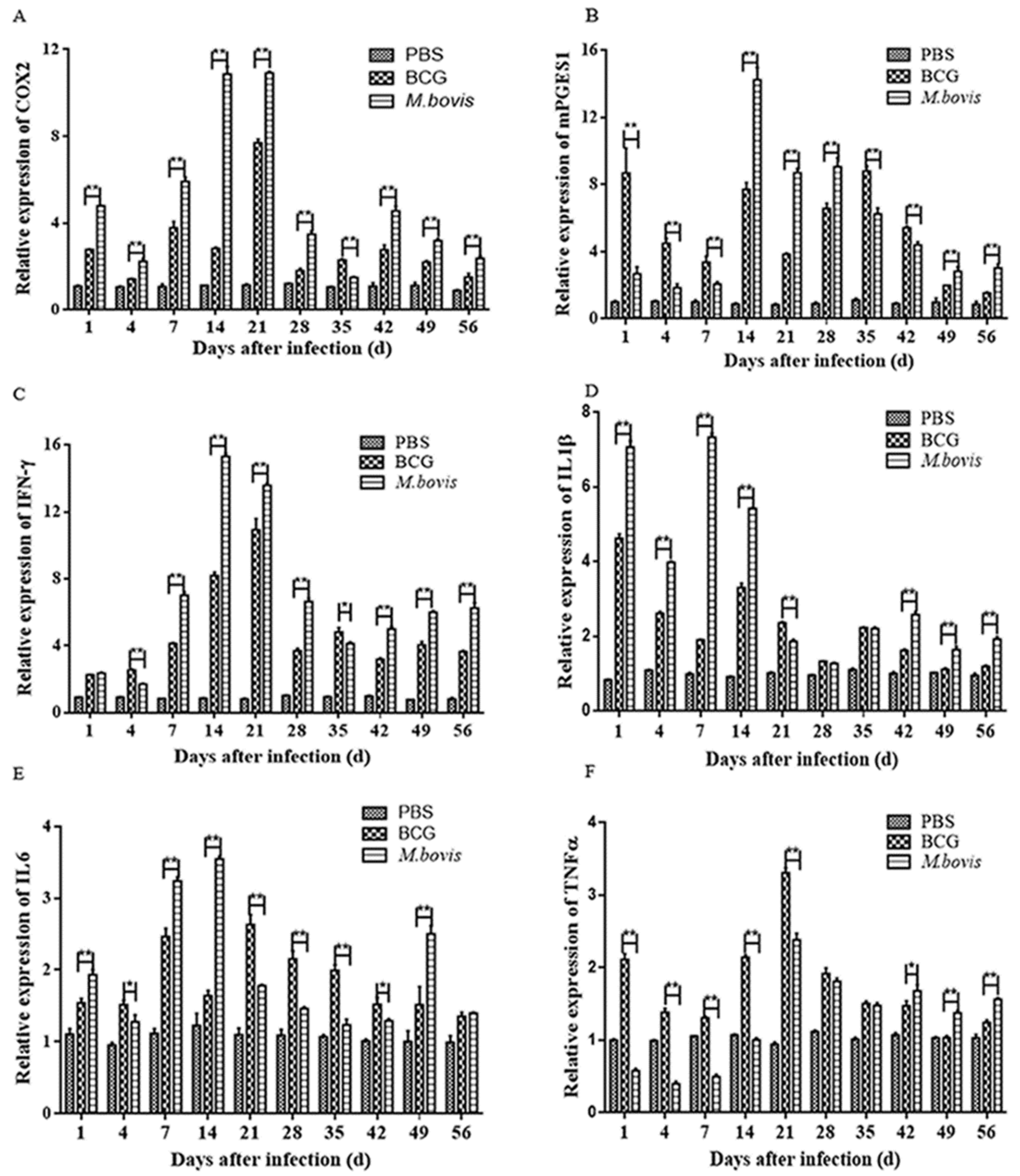 Microorganisms 08 00195 g007 Microorganisms 08 00195 g007