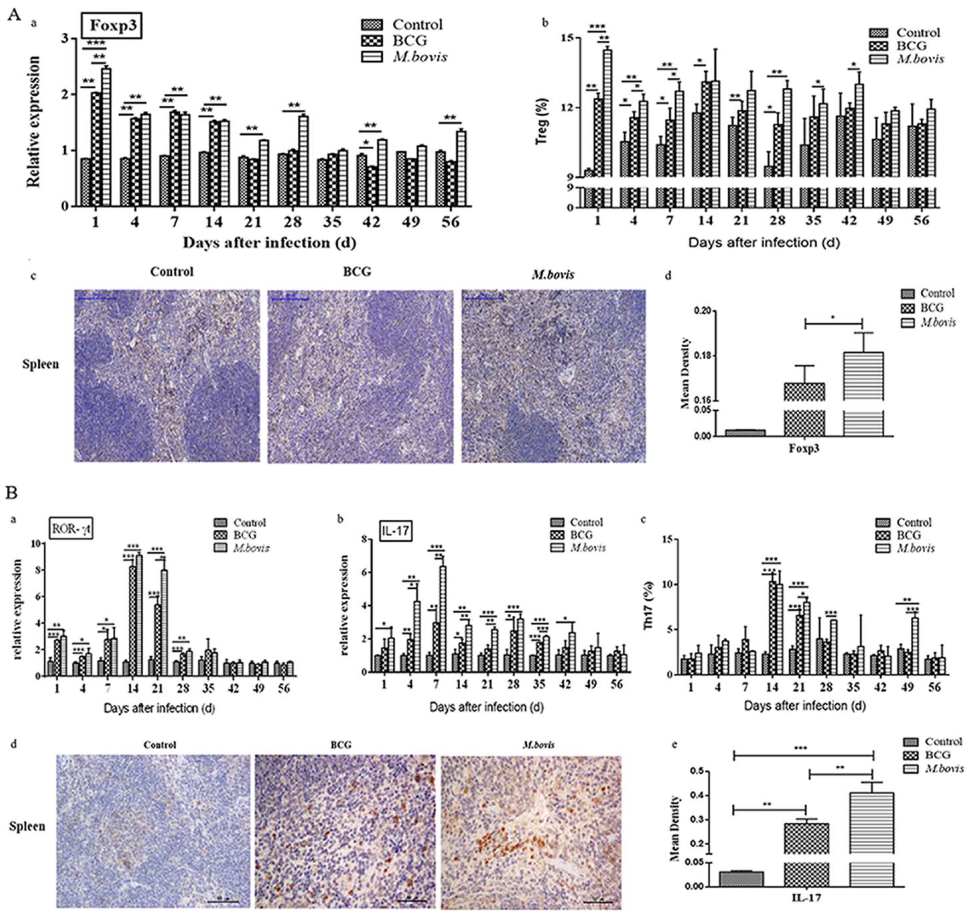Microorganisms 08 00195 g009 Microorganisms 08 00195 g009
