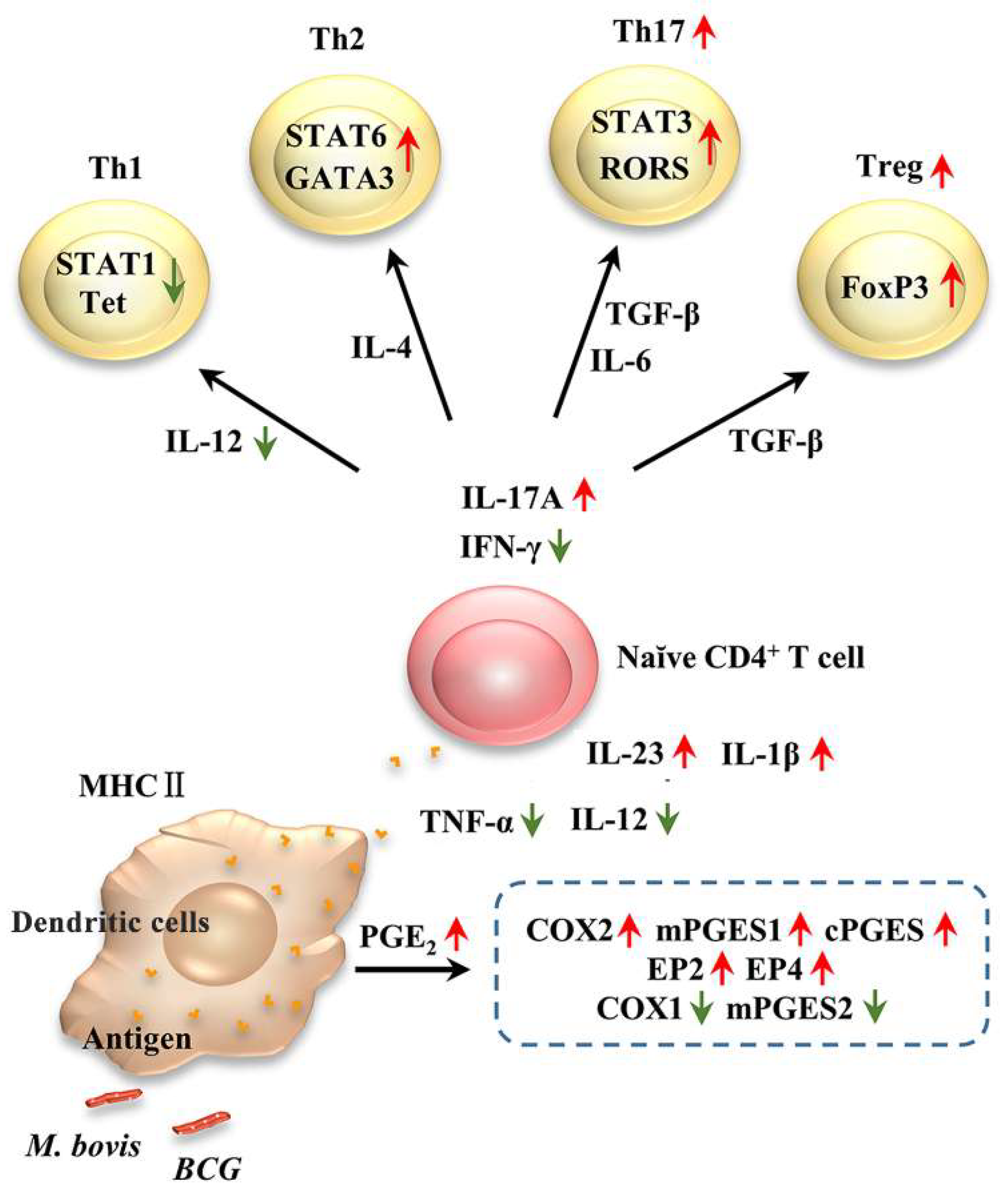 Microorganisms 08 00195 g010 Microorganisms 08 00195 g010