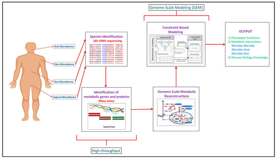 The dynamics and interactions between the skin metabolome, microbiome, and  UV exposure