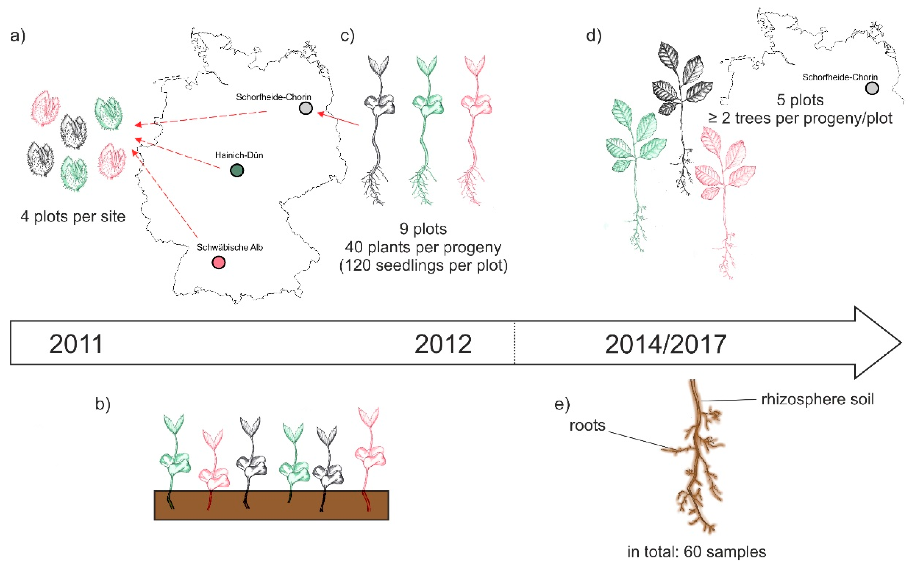 Microorganisms 08 00210 g001 Microorganisms 08 00210 g001
