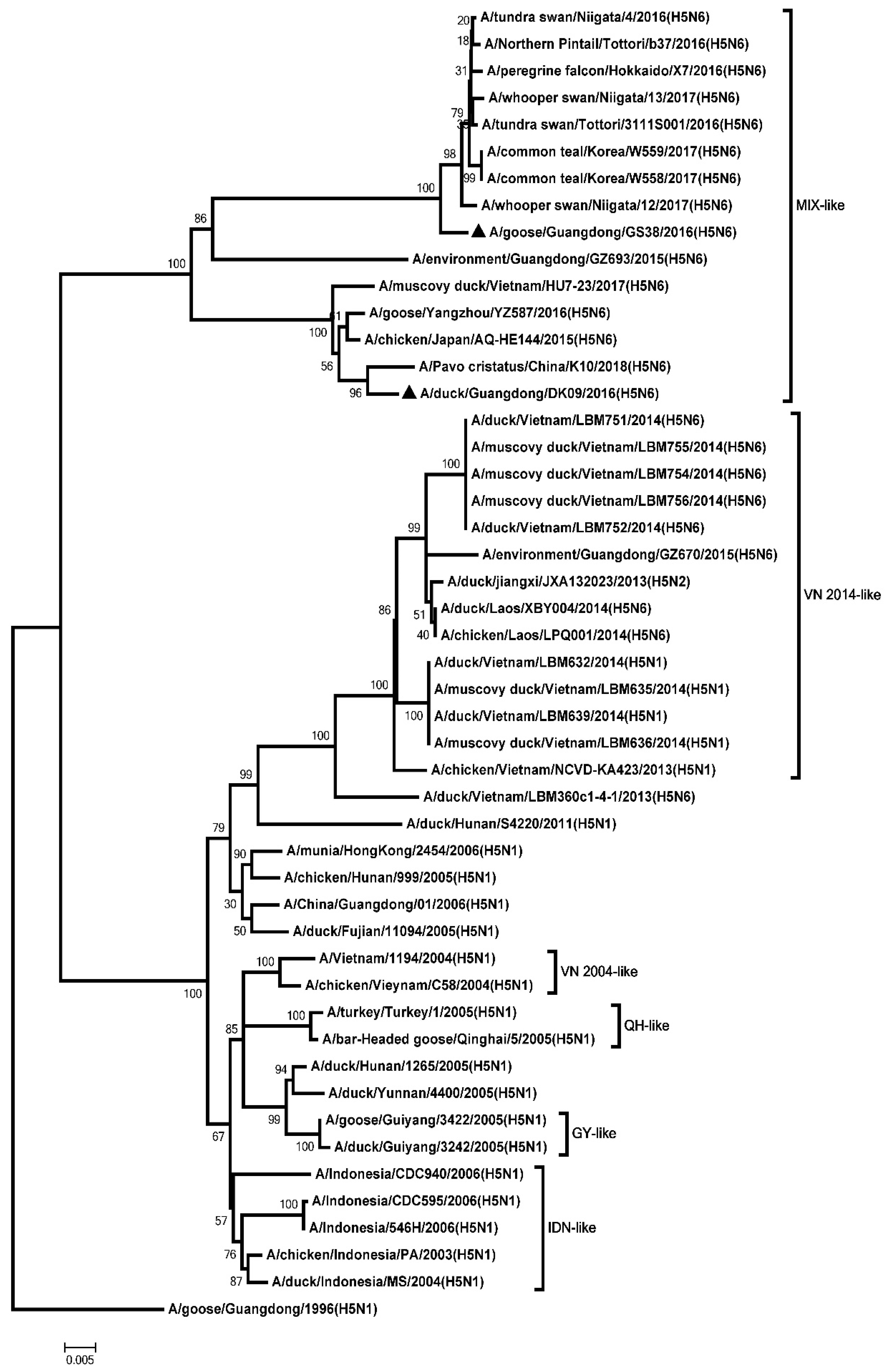 Microorganisms 08 00224 g004 Microorganisms 08 00224 g004