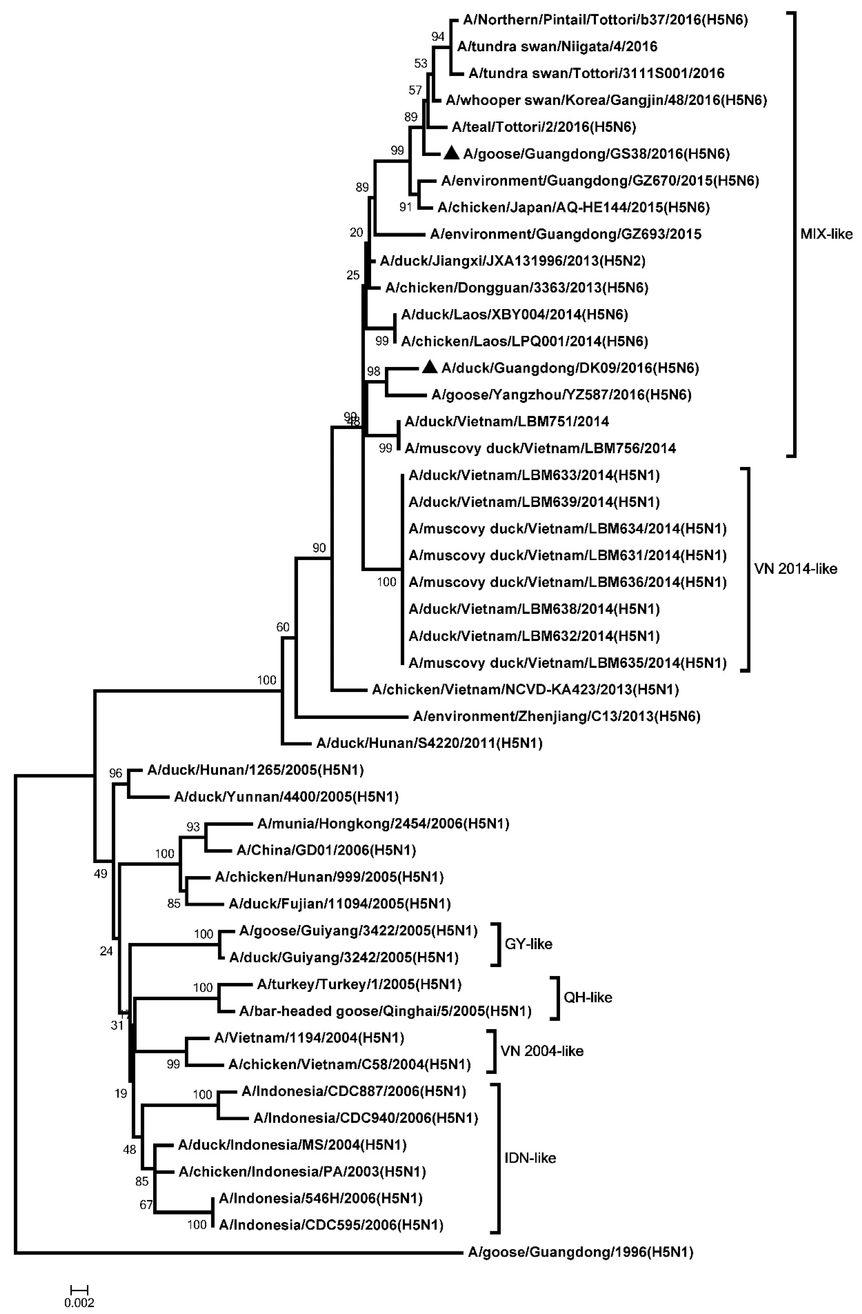 Microorganisms 08 00224 g006 Microorganisms 08 00224 g006