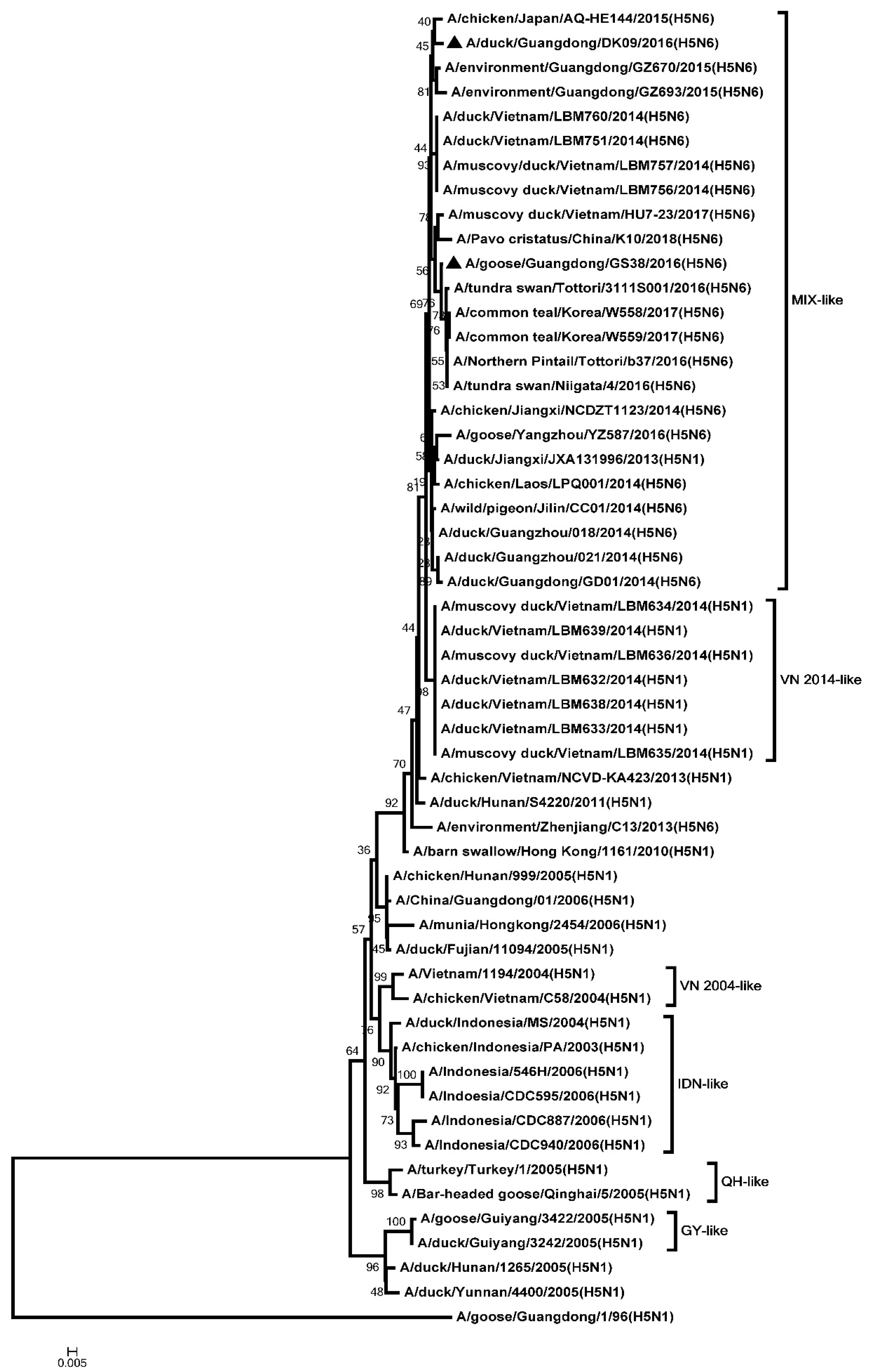 Microorganisms 08 00224 g008 Microorganisms 08 00224 g008