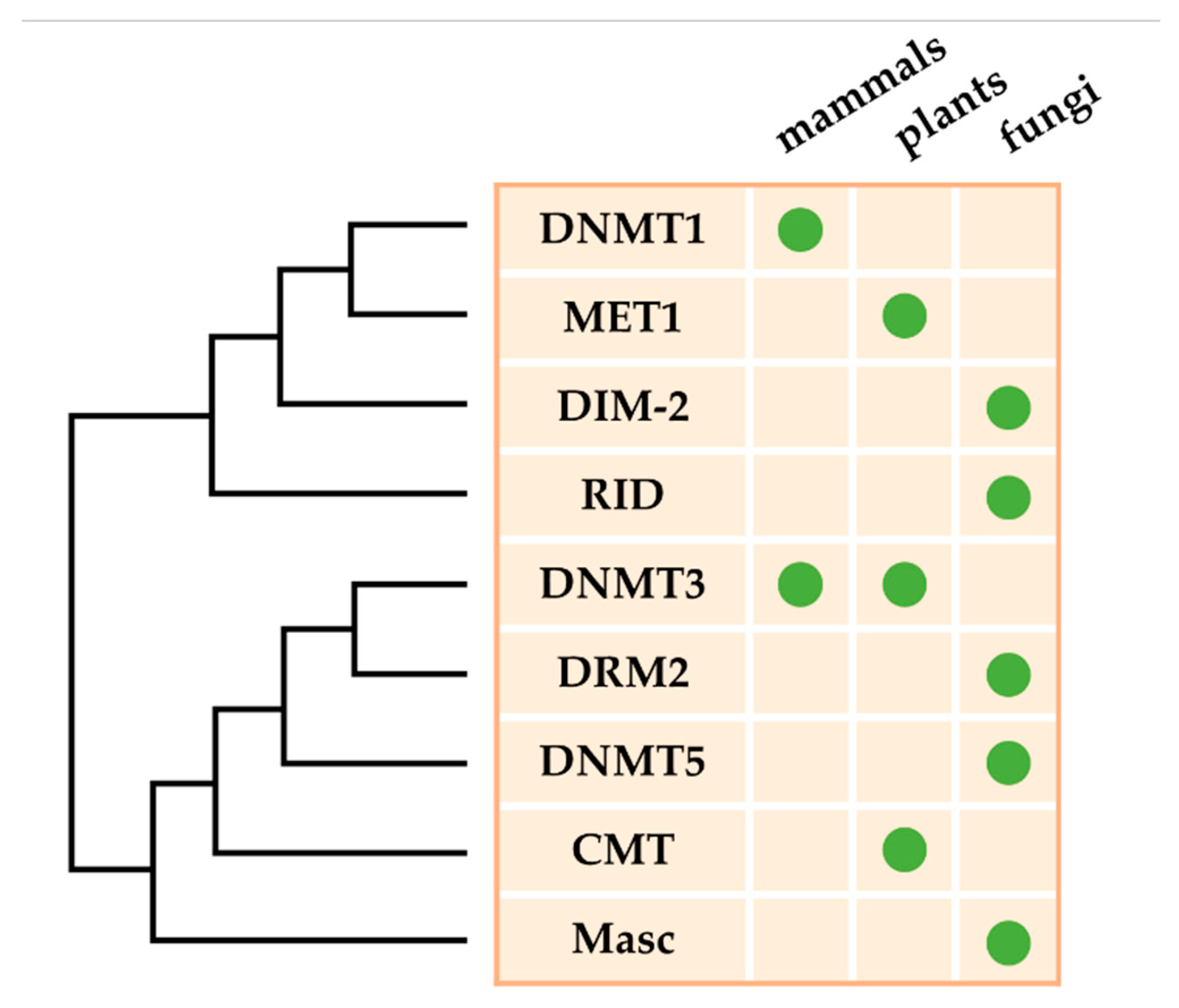Microorganisms 08 00227 g001 Microorganisms 08 00227 g001