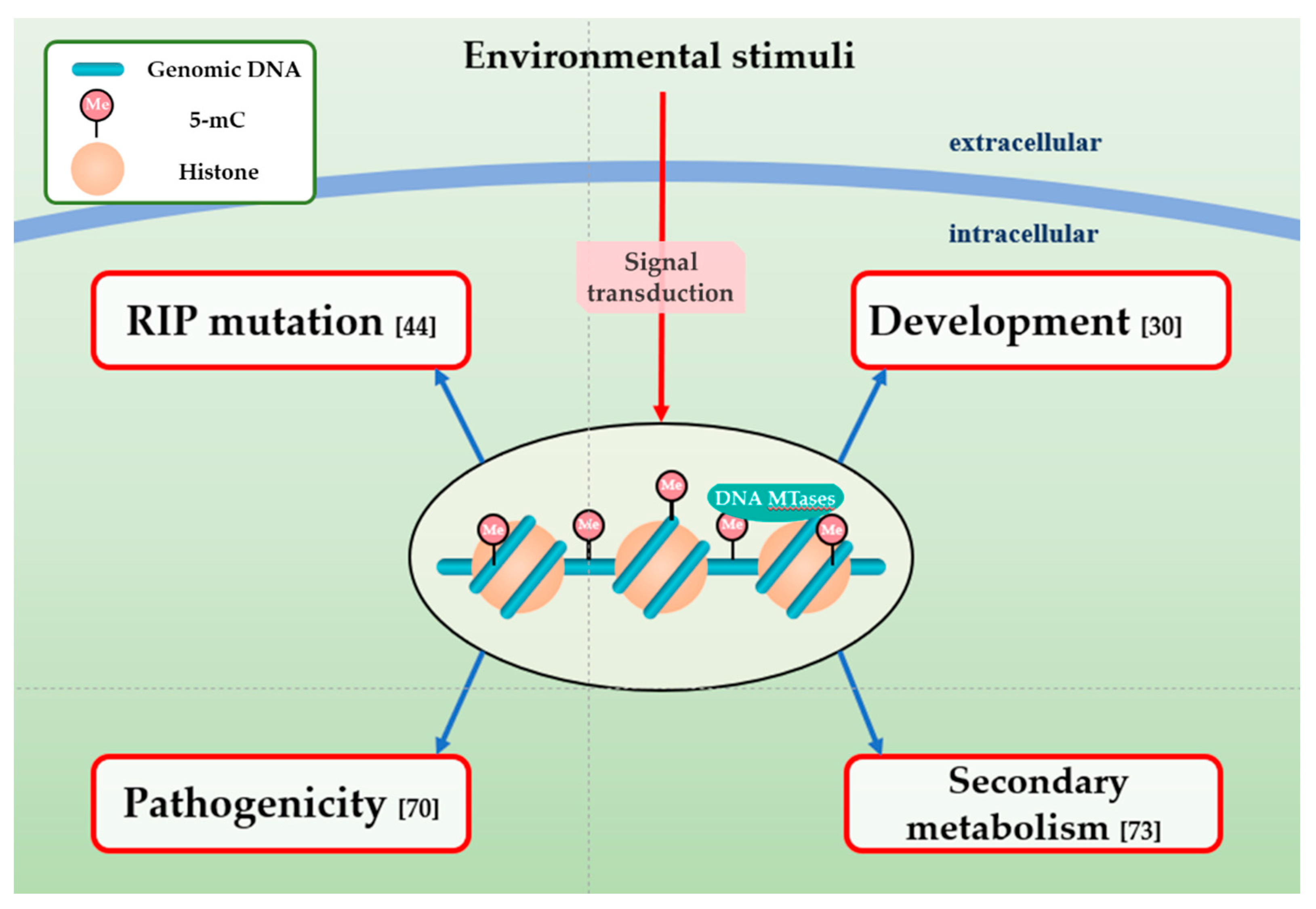 Microorganisms 08 00227 g003 Microorganisms 08 00227 g003