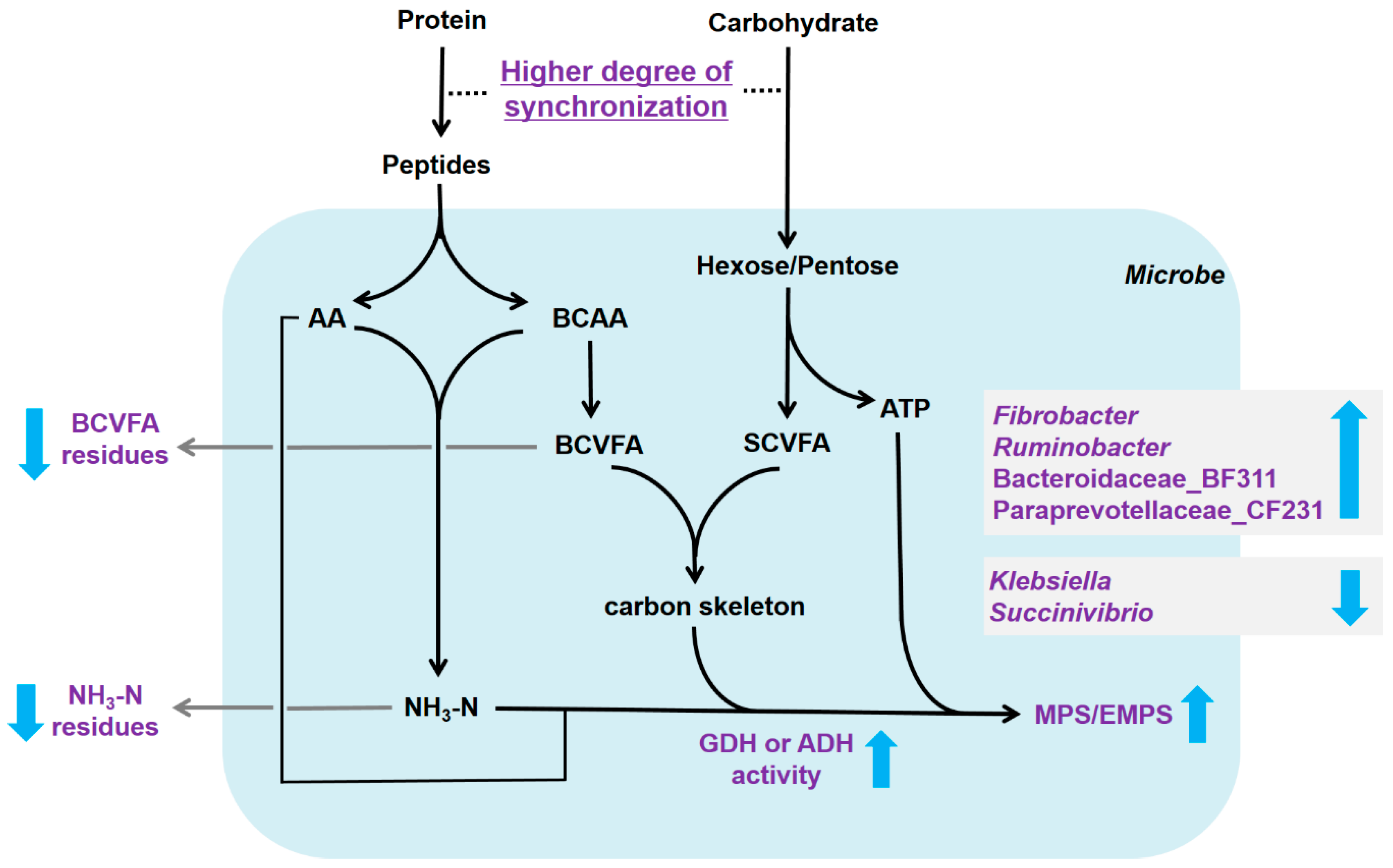 Microorganisms 08 00231 g009 Microorganisms 08 00231 g009