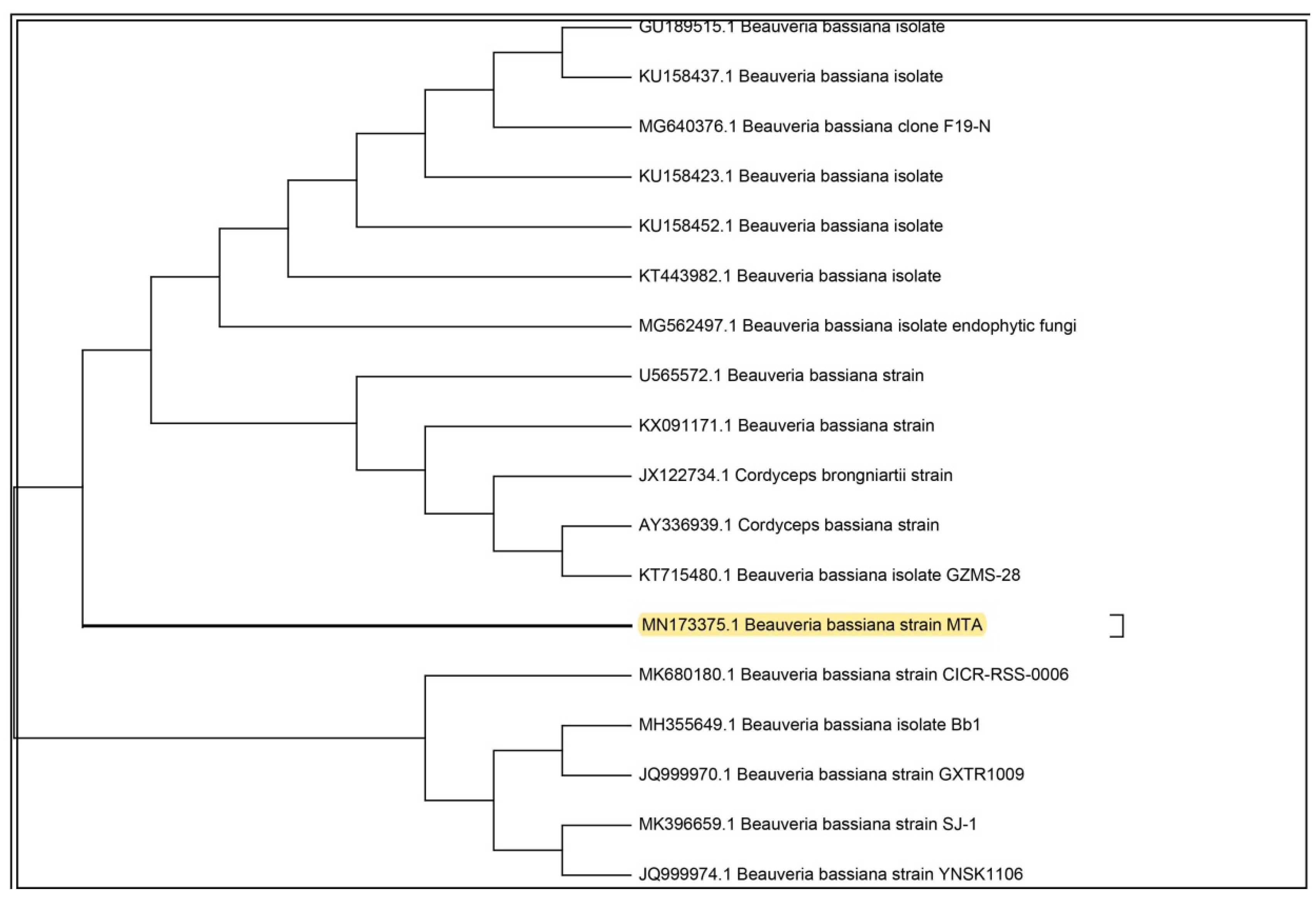 Microorganisms 08 00232 g002 Microorganisms 08 00232 g002