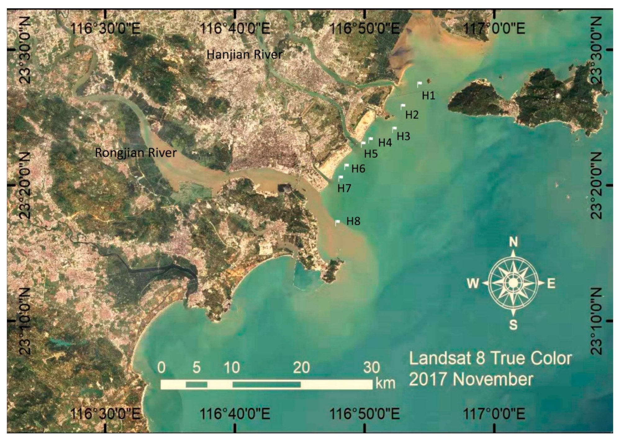Microorganisms 08 00233 g001