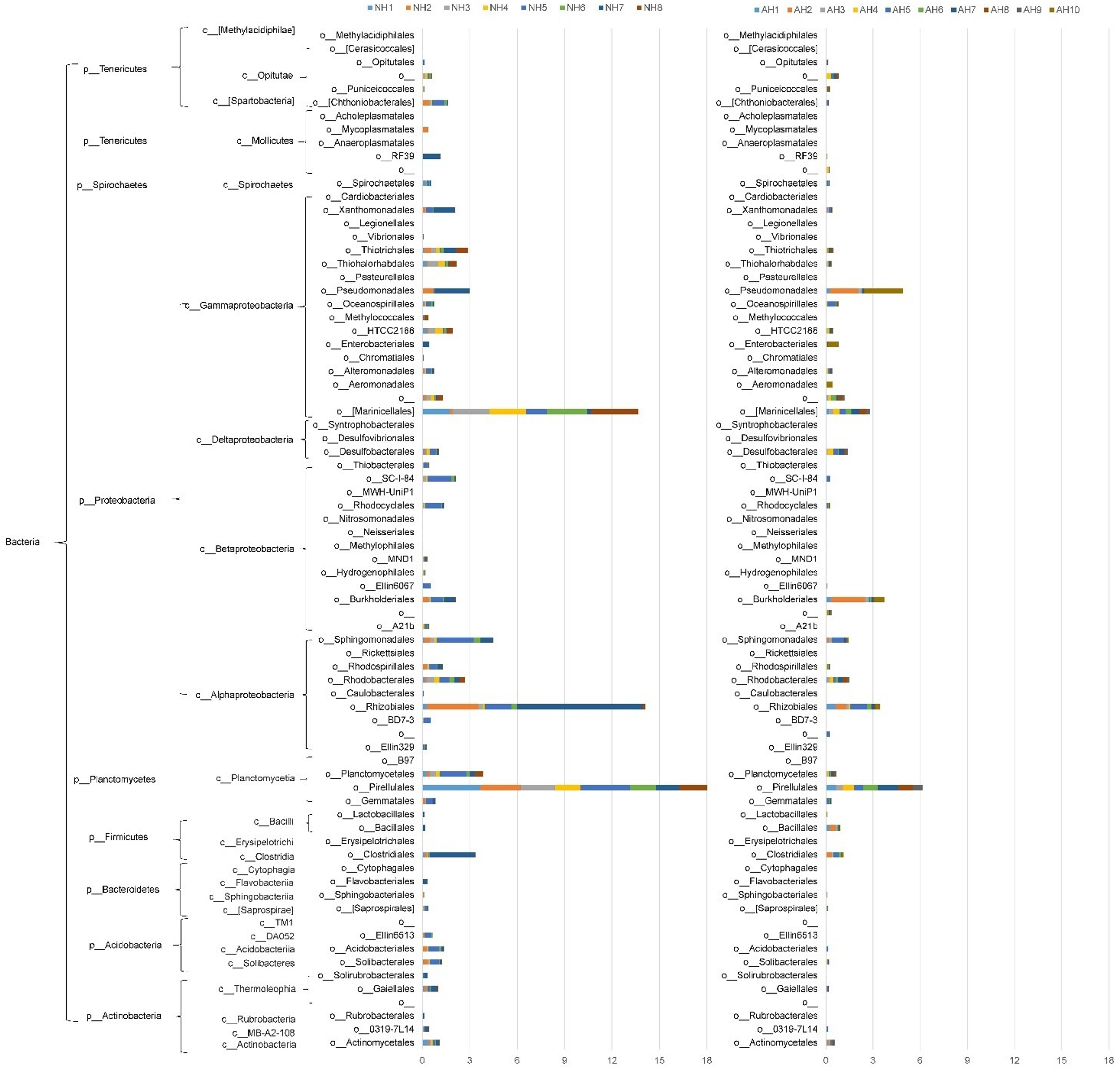 Microorganisms 08 00233 g004