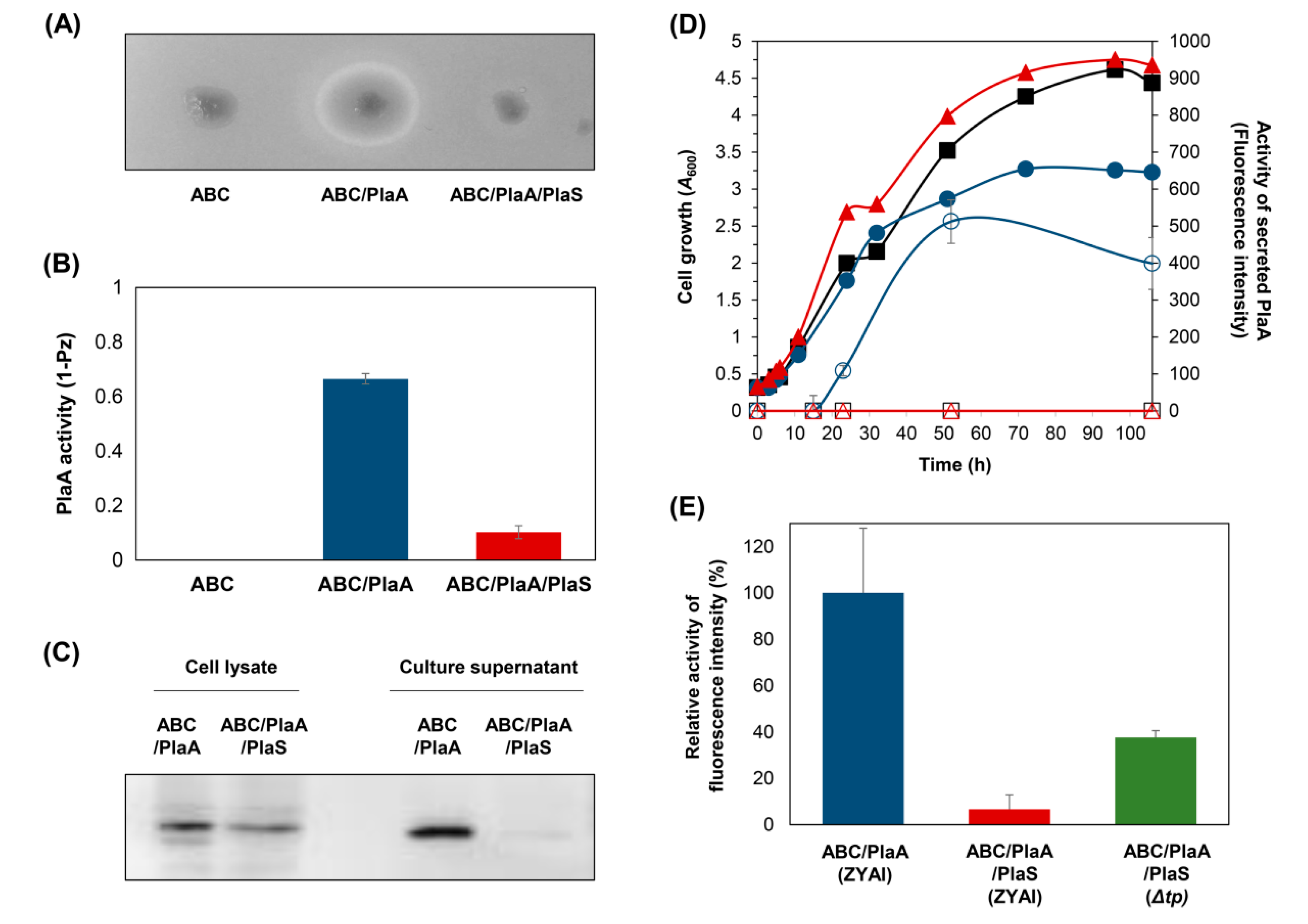 Microorganisms 08 00239 g003