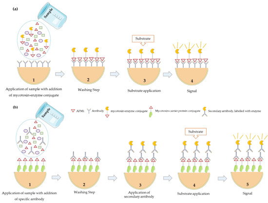 Microorganisms Free Full Text Detection Methods For Aflatoxin M1 In Dairy Products Html