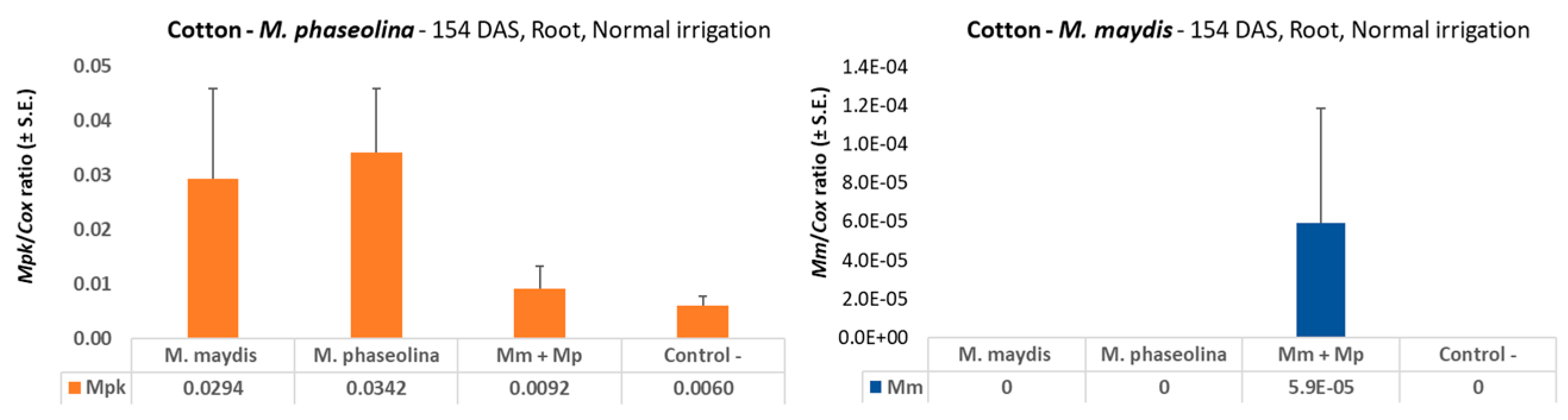 Microorganisms 08 00249 g008