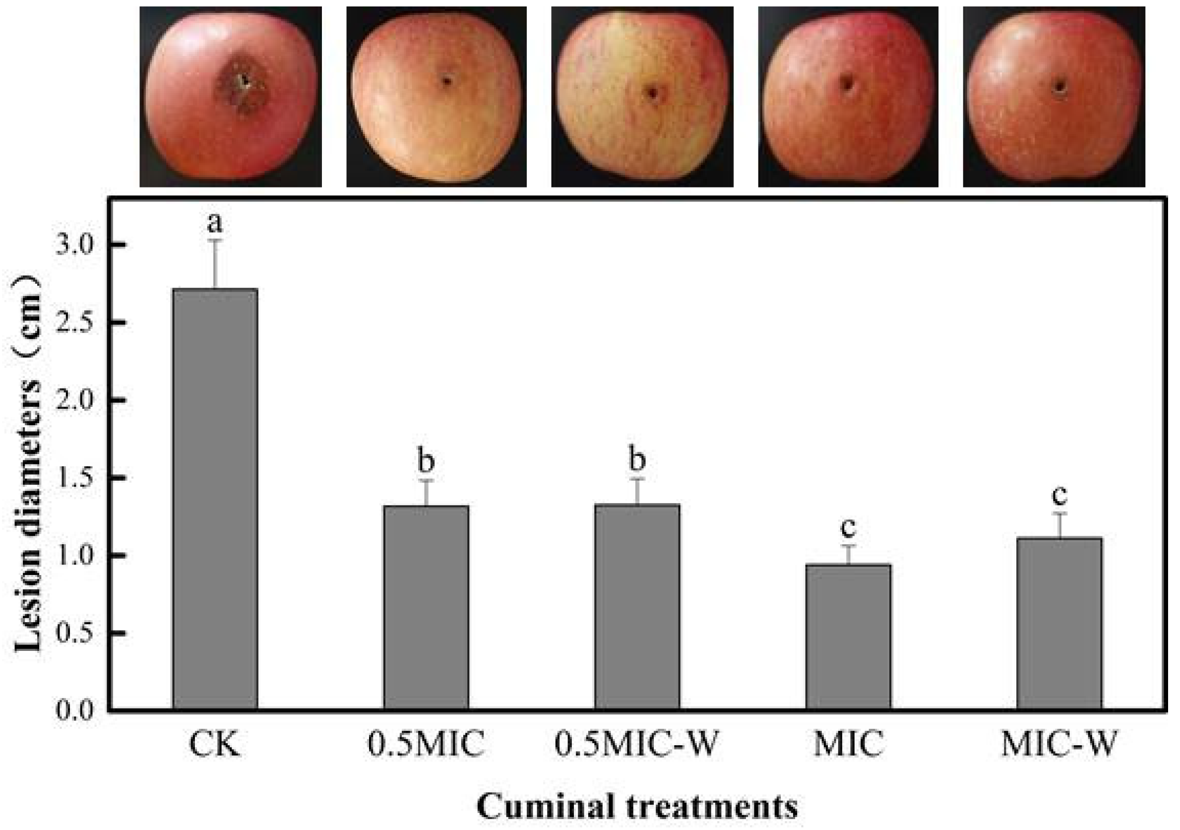 Microorganisms 08 00256 g002 Microorganisms 08 00256 g002