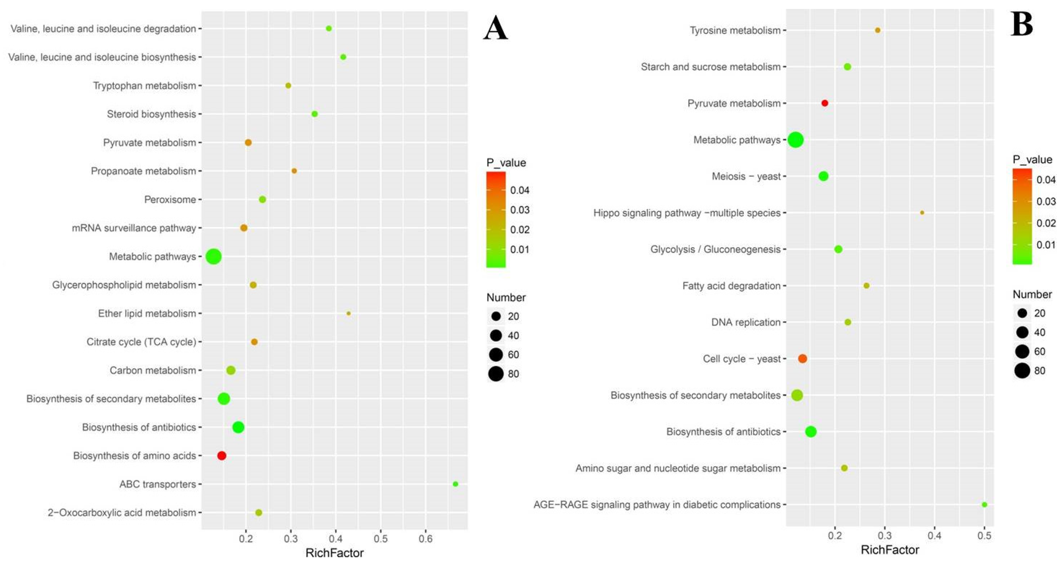 Microorganisms 08 00256 g006 Microorganisms 08 00256 g006