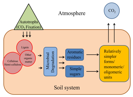 Microorganisms 08 00257 g004 550