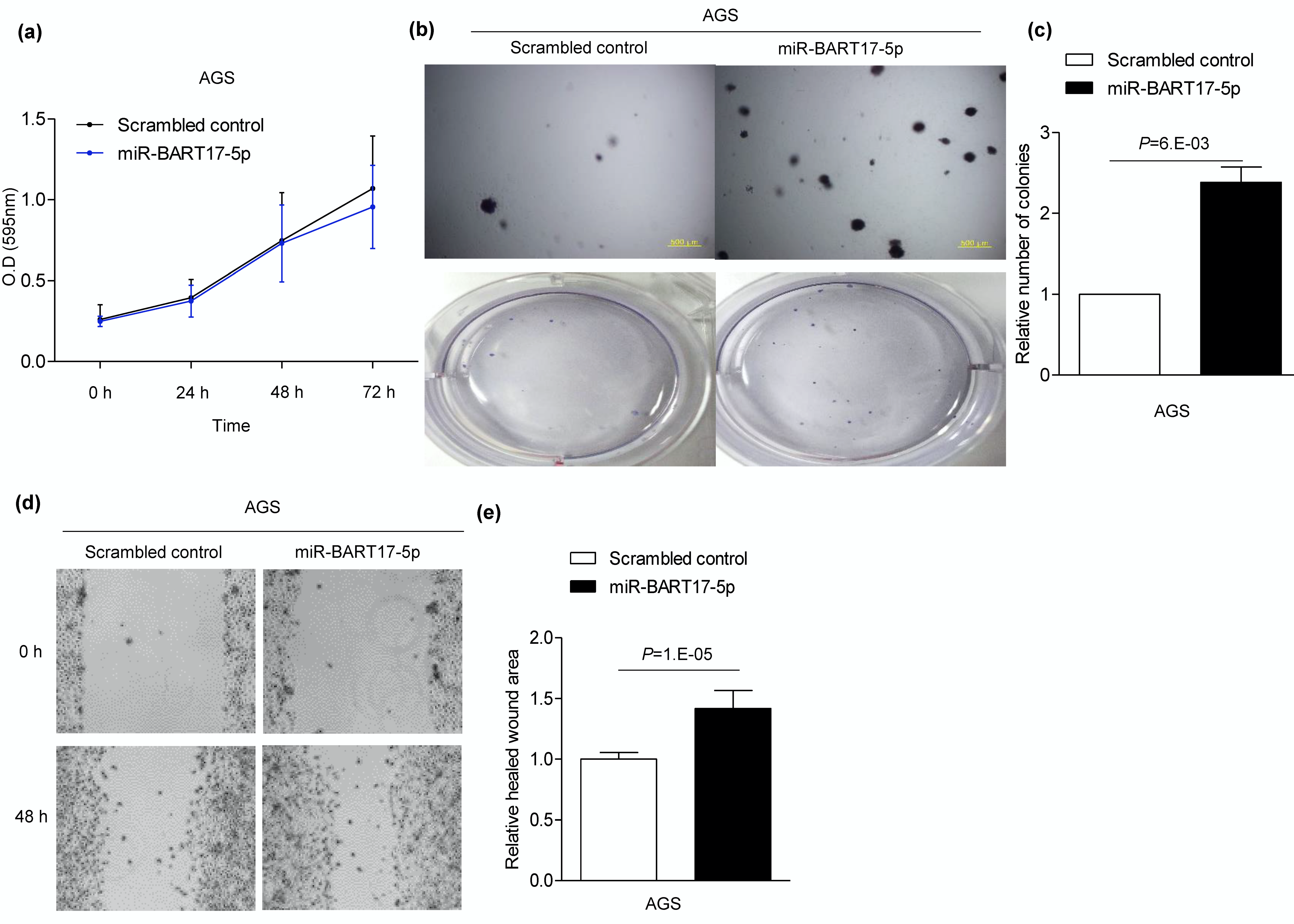 Microorganisms 08 00258 g004