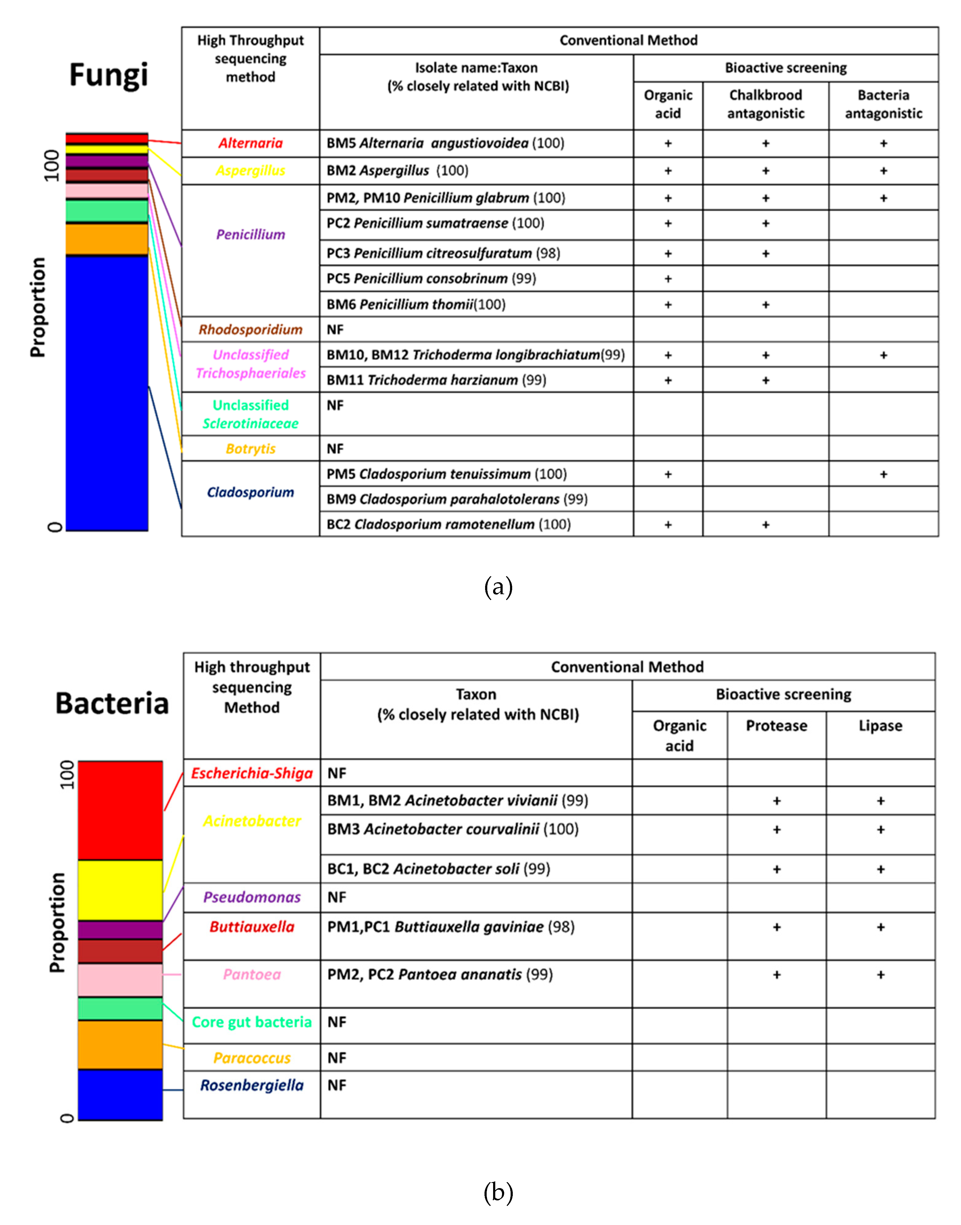 Microorganisms 08 00264 g004 Microorganisms 08 00264 g004