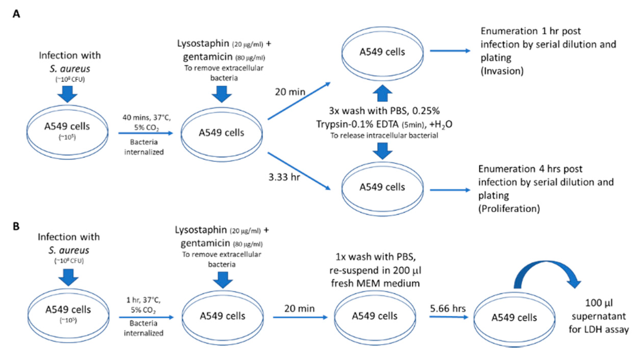 Microorganisms 08 00275 g001 Microorganisms 08 00275 g001