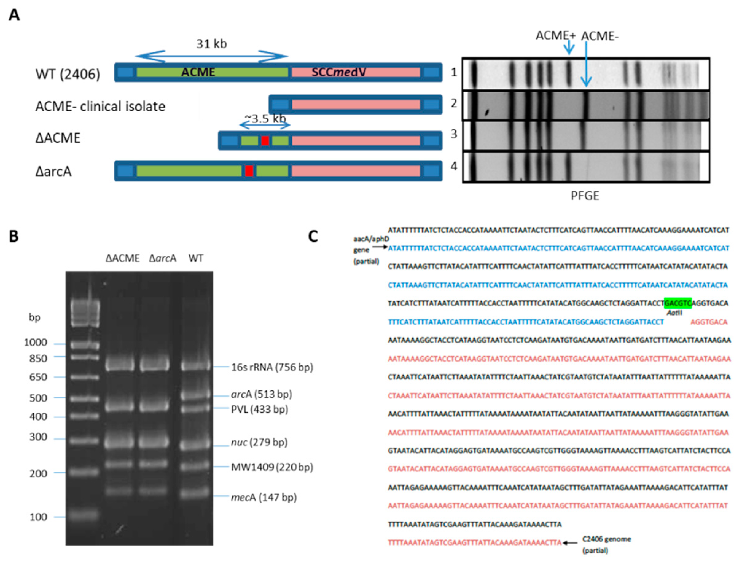 Microorganisms 08 00275 g002 Microorganisms 08 00275 g002