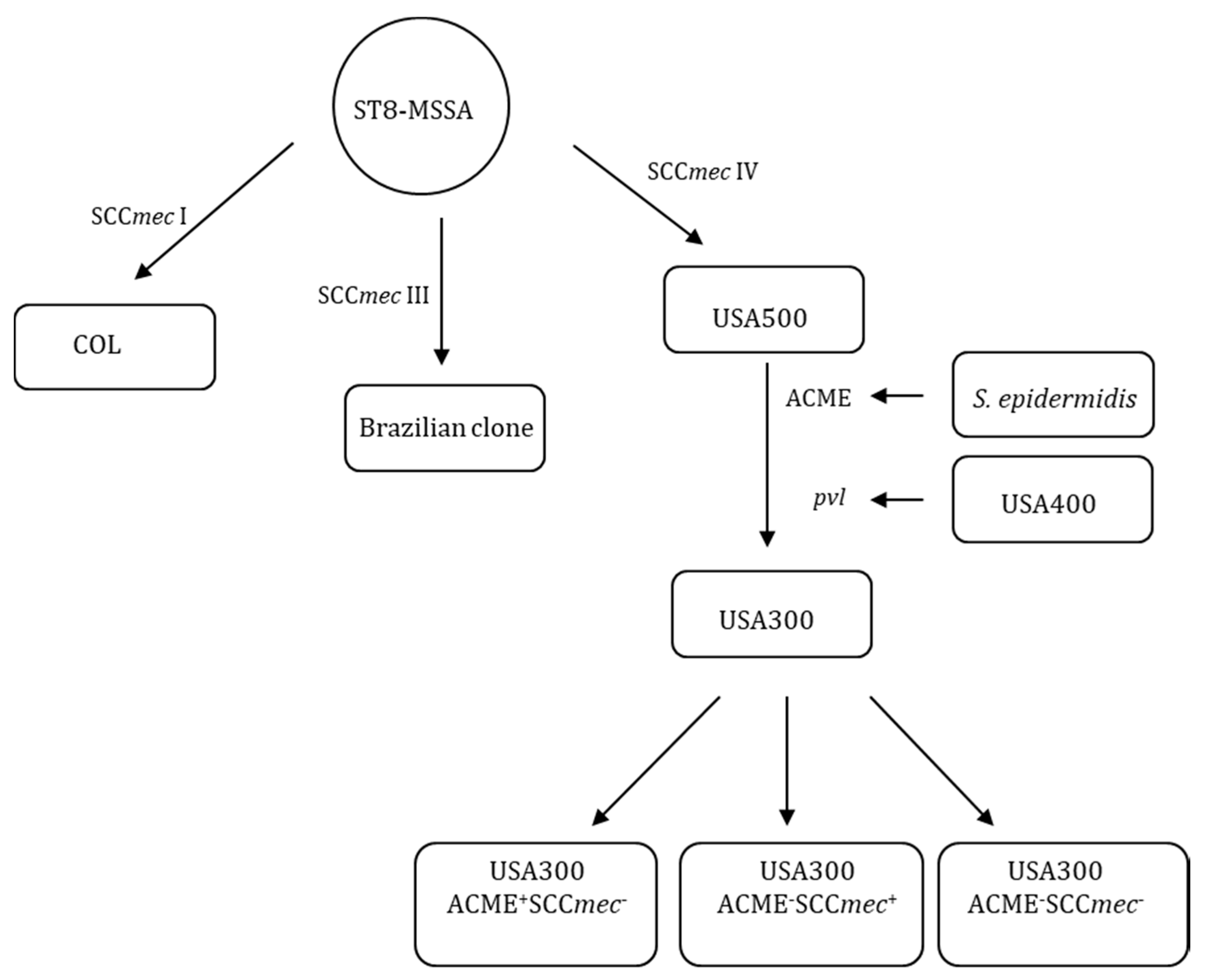Microorganisms 08 00275 g010 Microorganisms 08 00275 g010