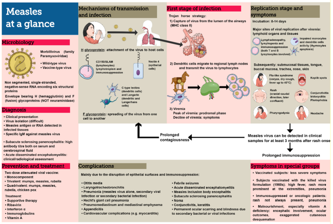 Measles An Overview of a ReEmerging Disease in Children and
